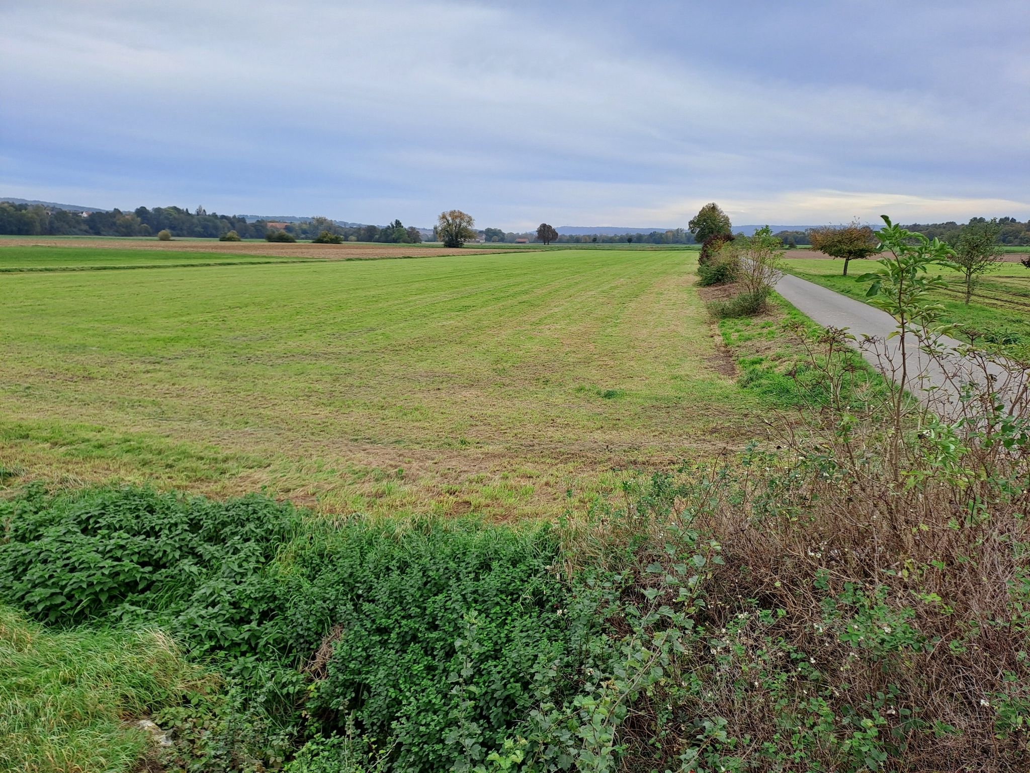 Weserauen bei Hessisch Oldendorf