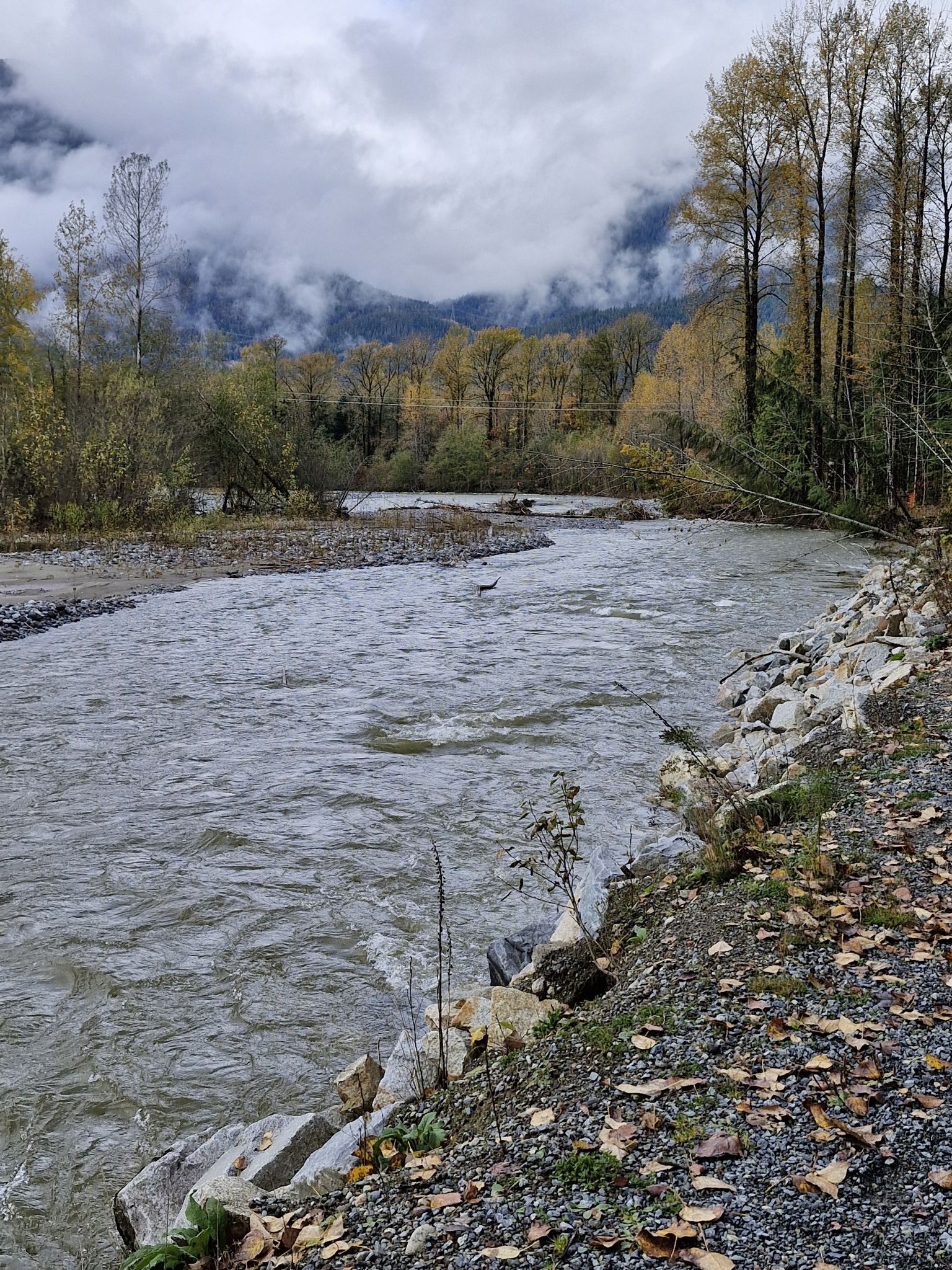 mamquam river