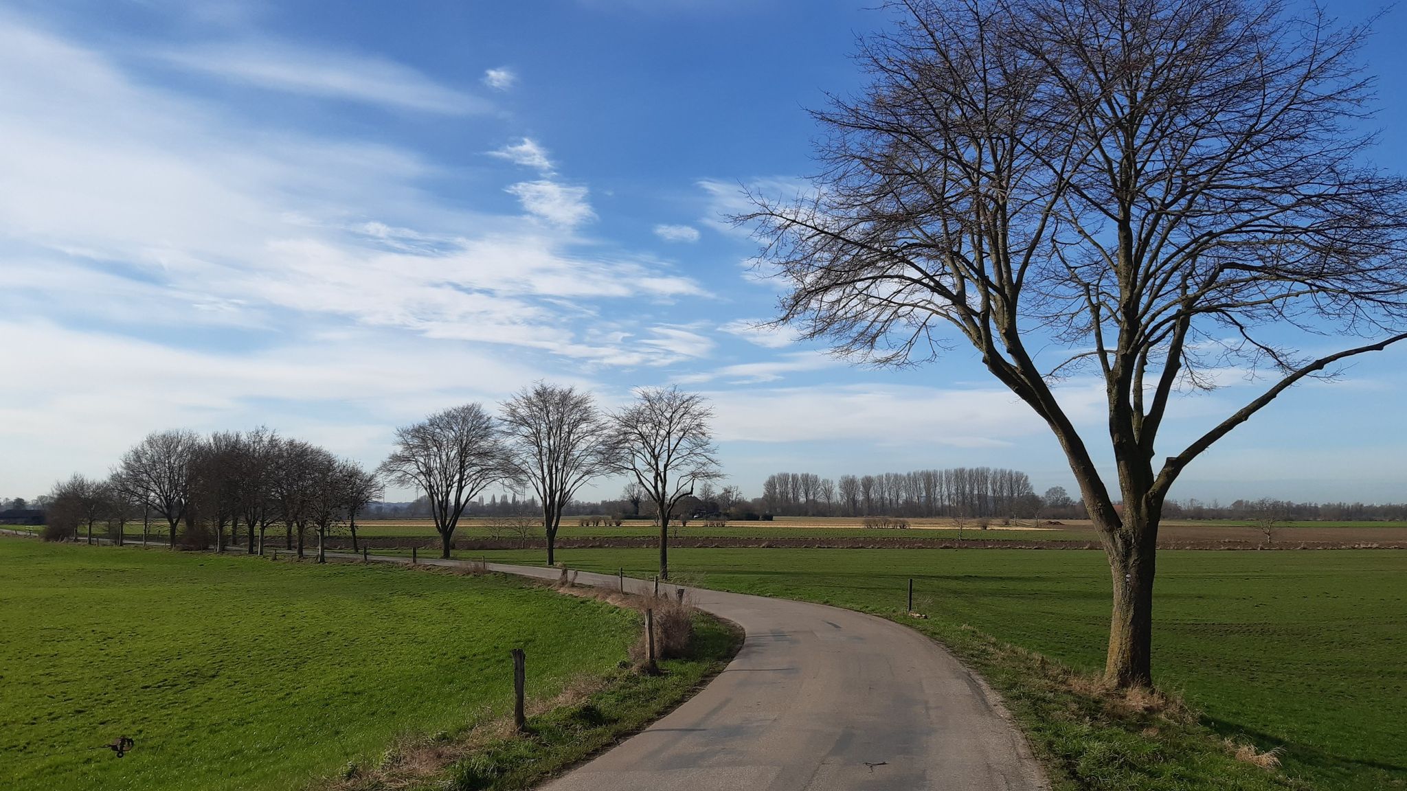 Spyckweg