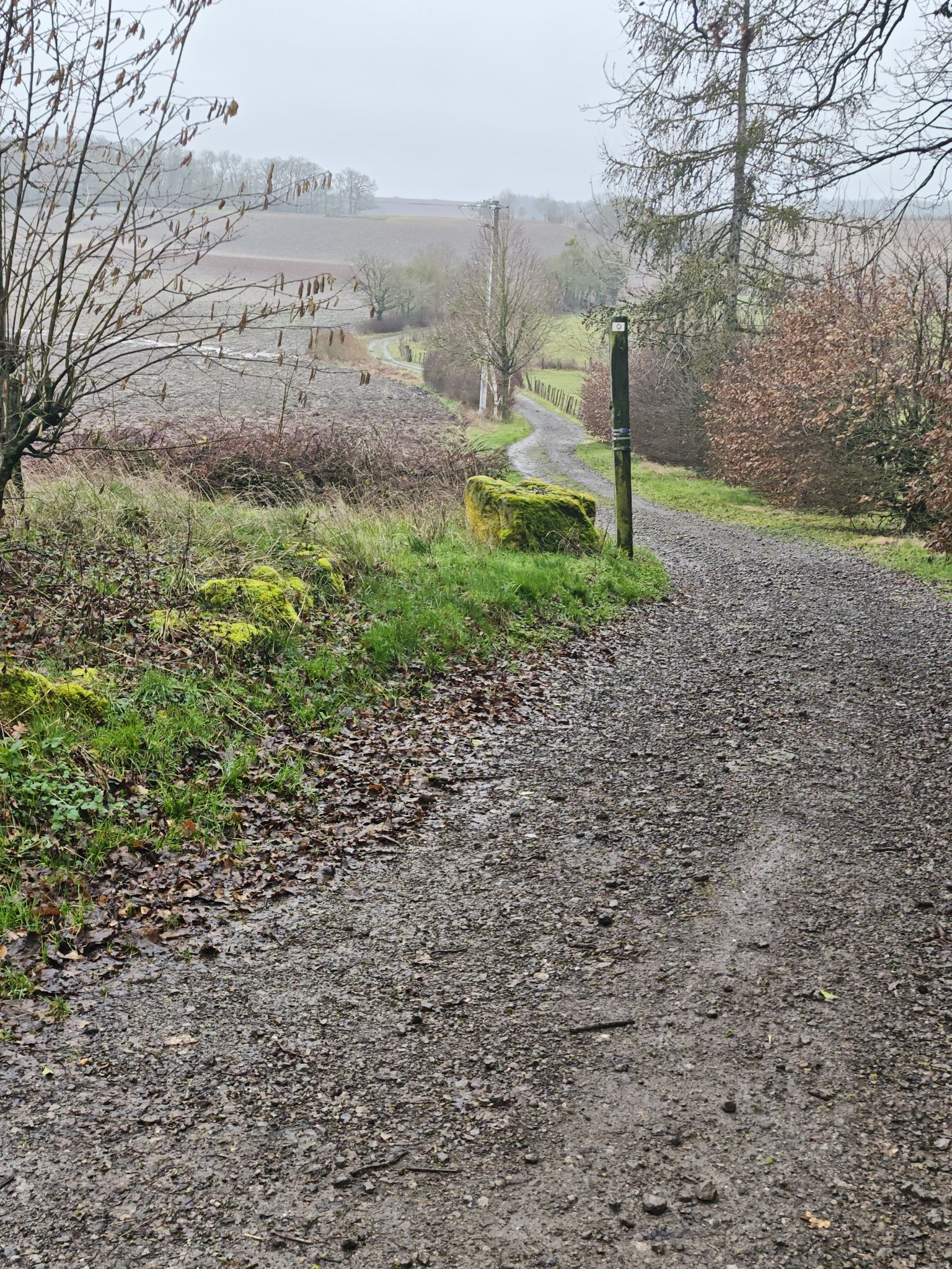 Chemin des quarante jours, très boueux
