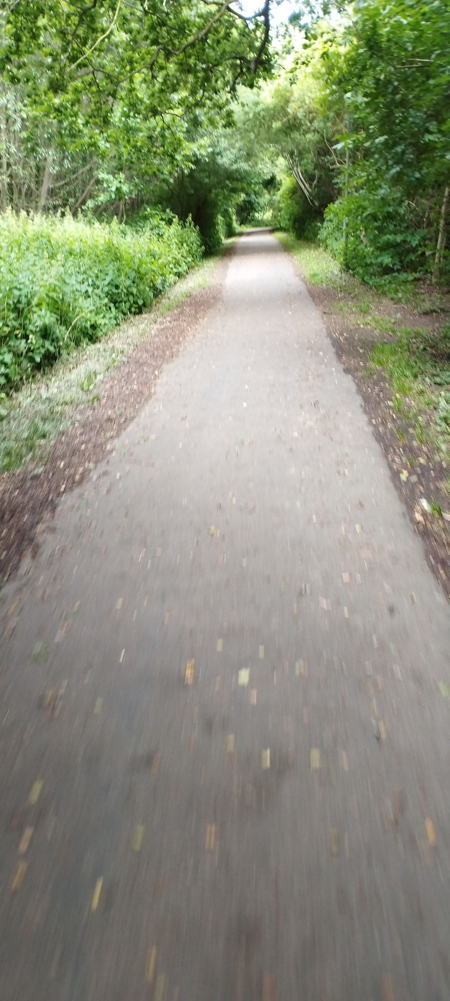 Toller Radweg