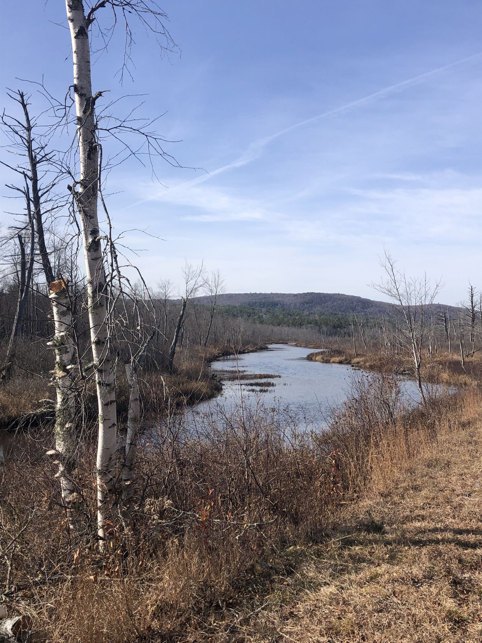 Winding river through a wetland with bare trees and distant hills. - NH 11 / NH 4A Shortcut – Rock Railroad Cut loop from Cillryville Bridge