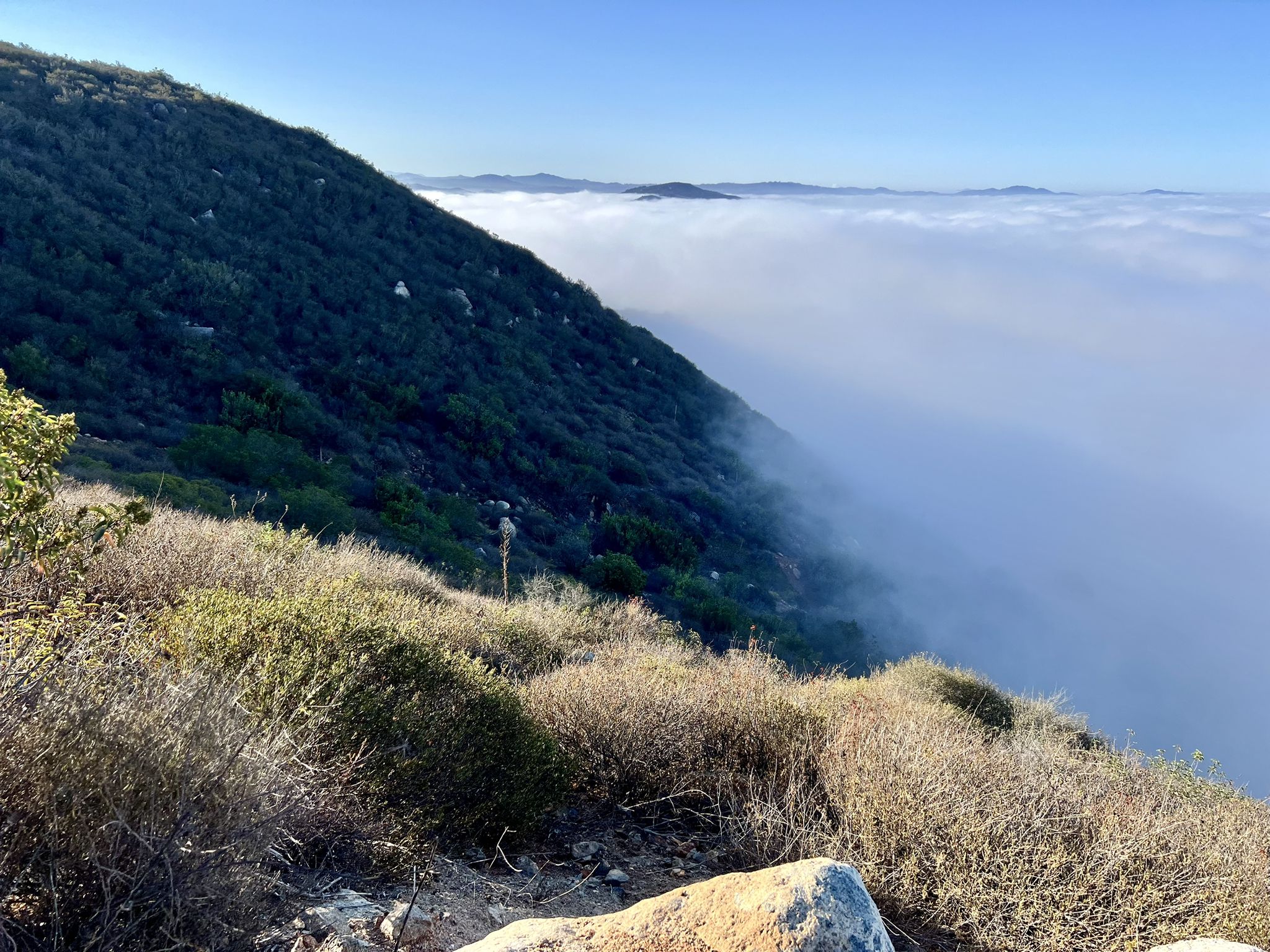 A brushy mountain slope overlooks a vast sea of clouds below. - Monserate Mountain Trail – Monserate Mountain loop from Monserate Mountain