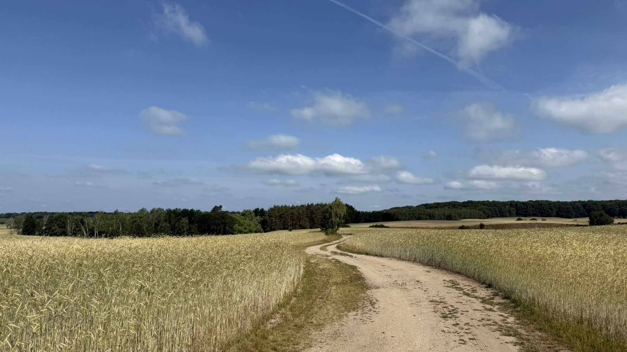über´s Feld