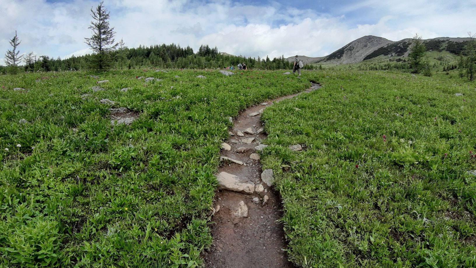 sattes grün auf 2240m Höhe