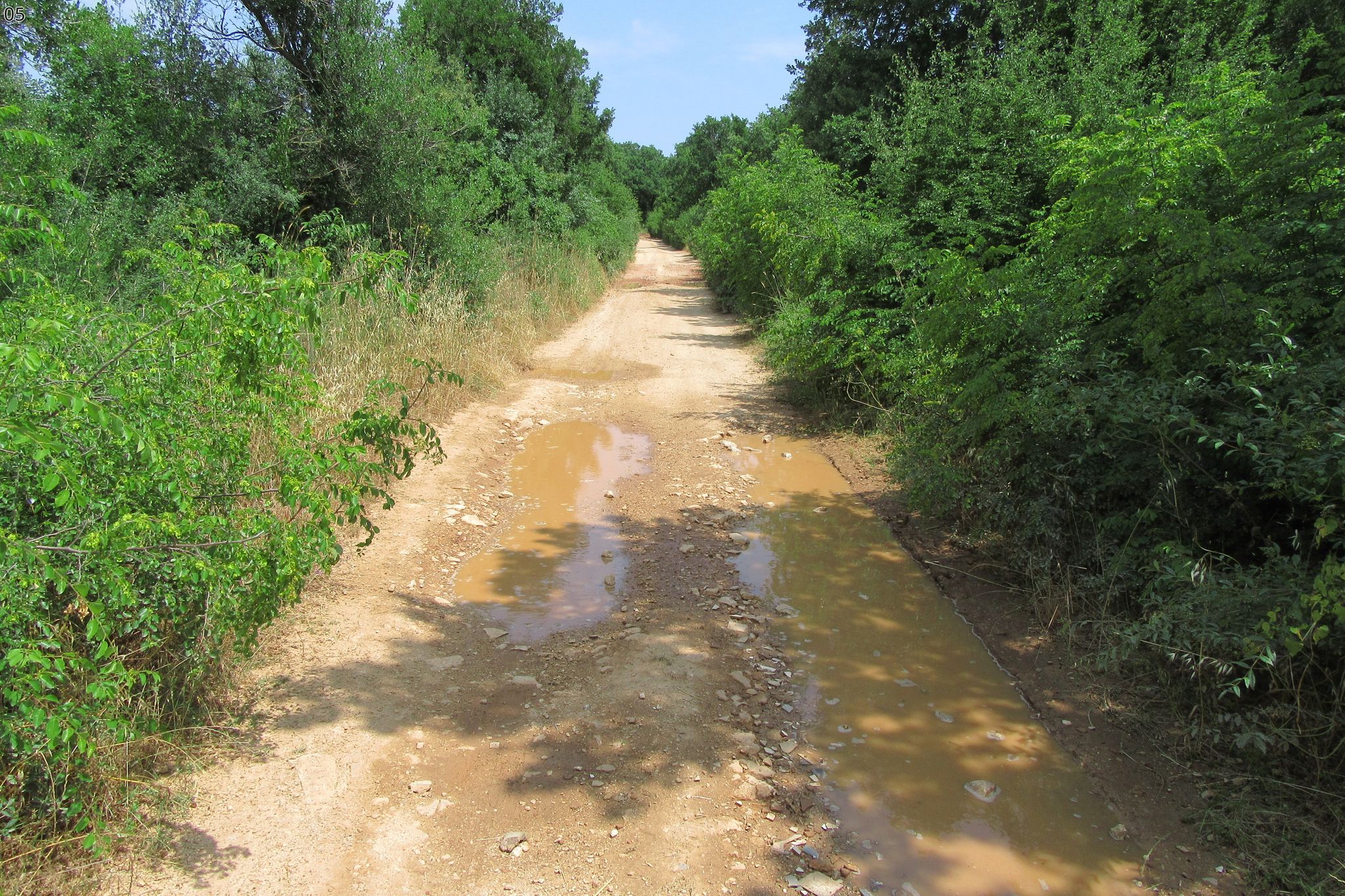 05, Gewerbegebiet Galižana..A9_ein paar Matschepfützen