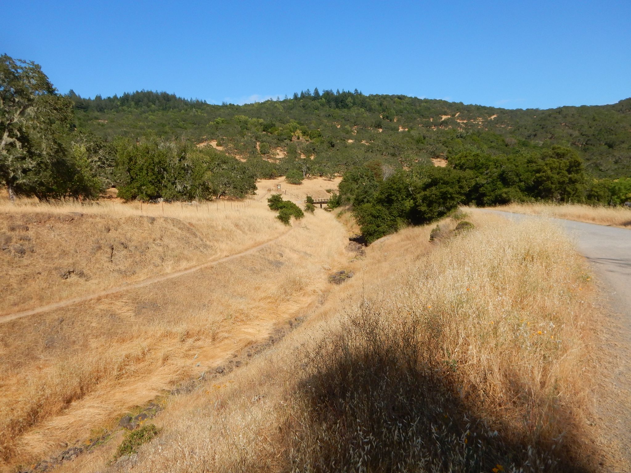 Dry golden hillsides flank a valley leading to green forested hills. - Lake Ilsanjo – Warren Richardson Trail loop from Santa Rosa Downtown