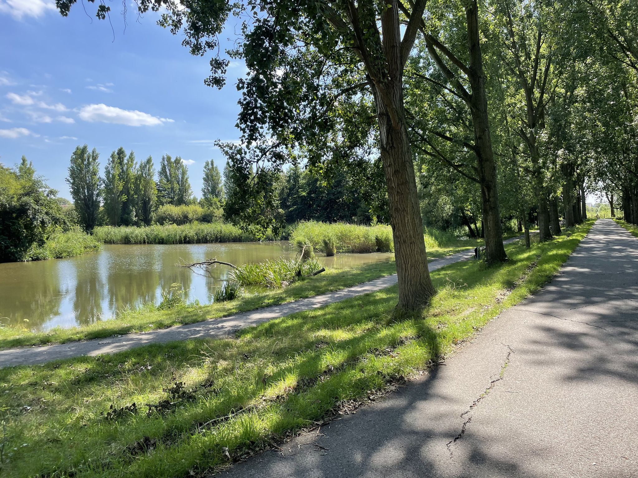 One of the many ponds in the park