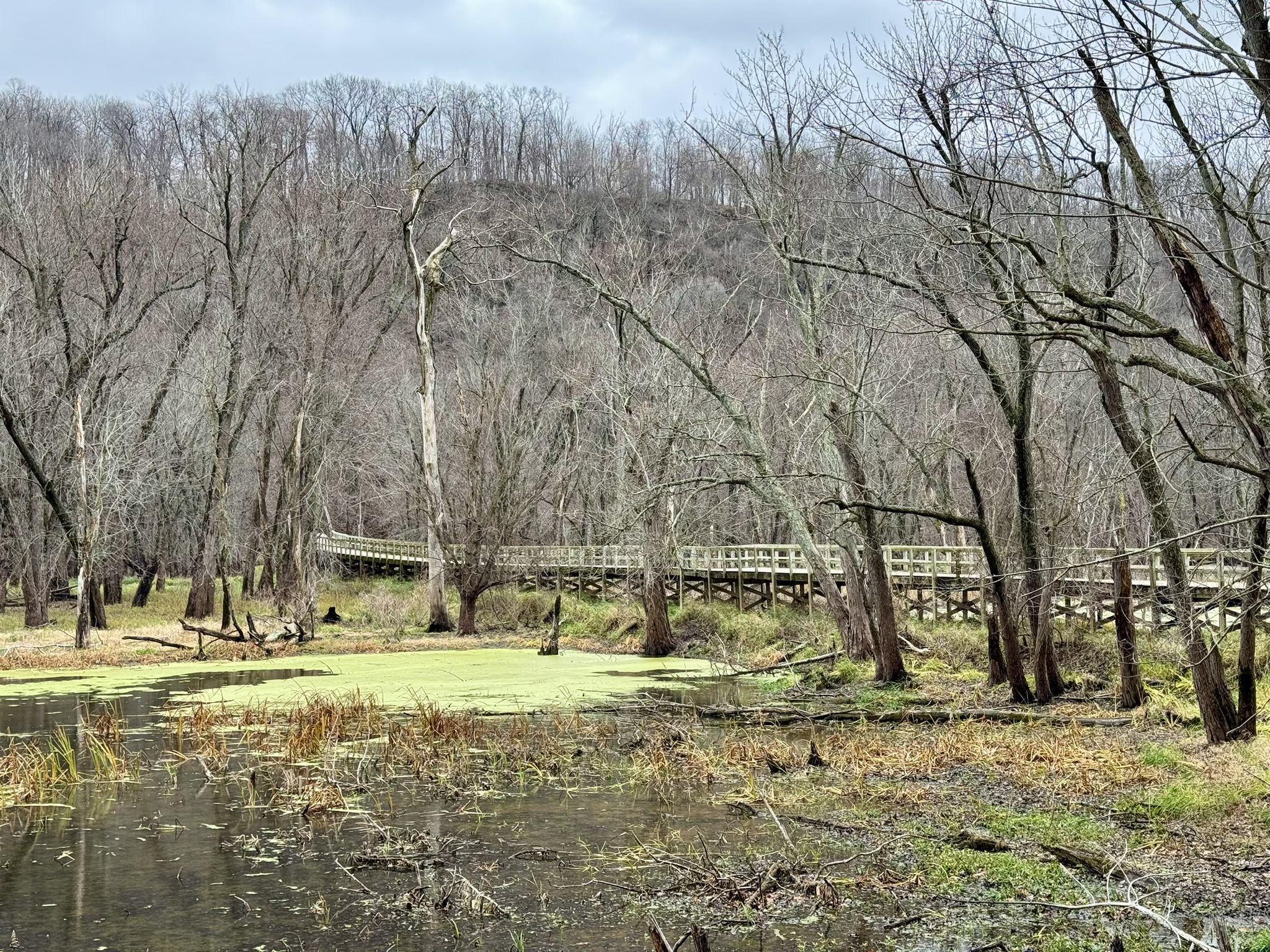 The bridge across the Yellow River
