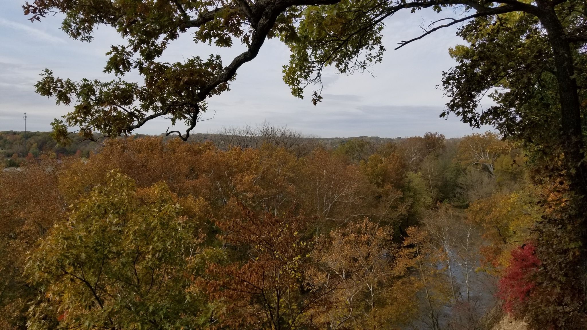 Panoramic view of a forest with vibrant autumn foliage under a cloudy sky. - Overlook Trail