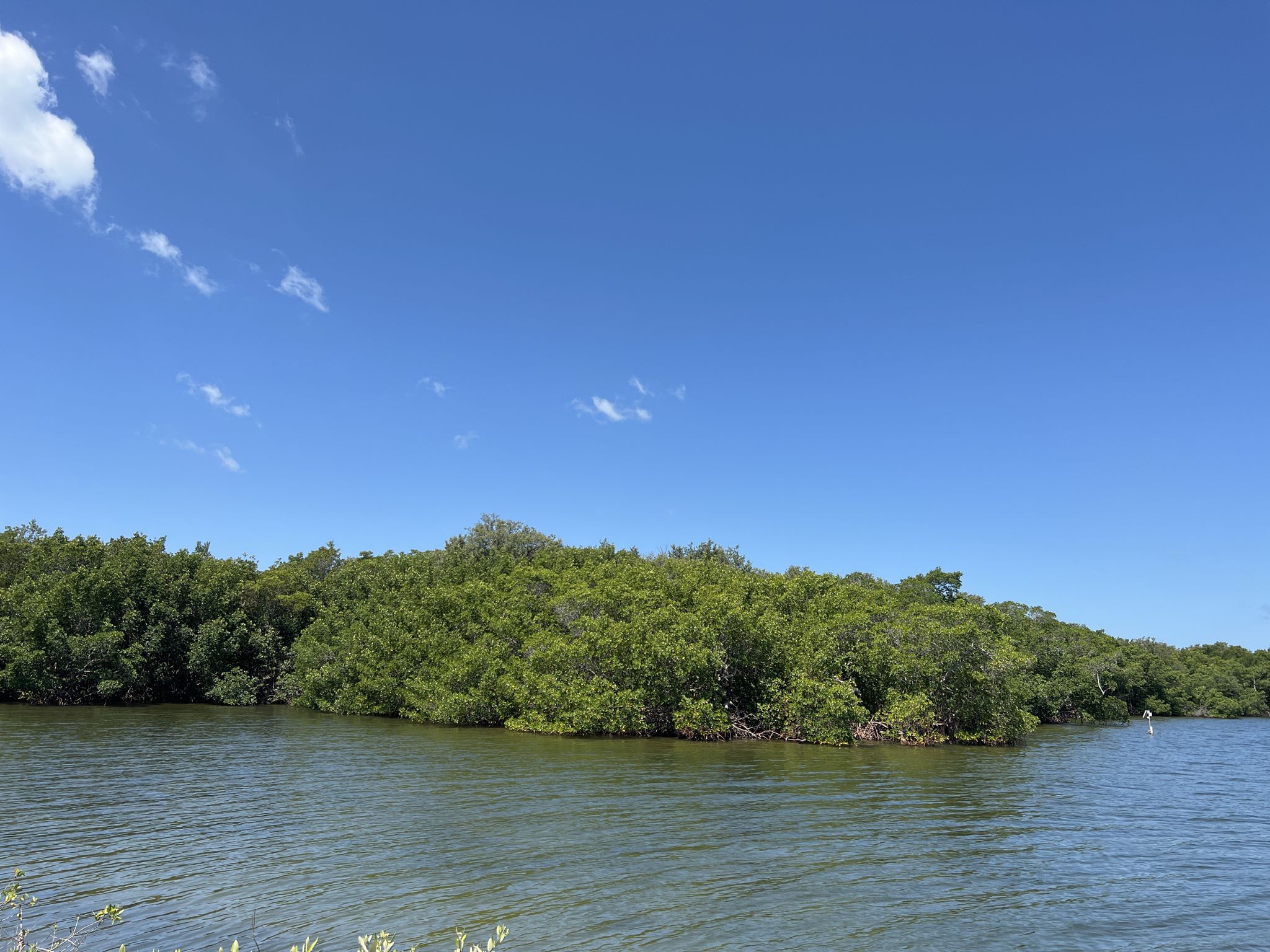 Bright sunny day over calm water with dense green trees under blue sky. - Wulfert Keys Trail and Calusa Shell Mound Trail