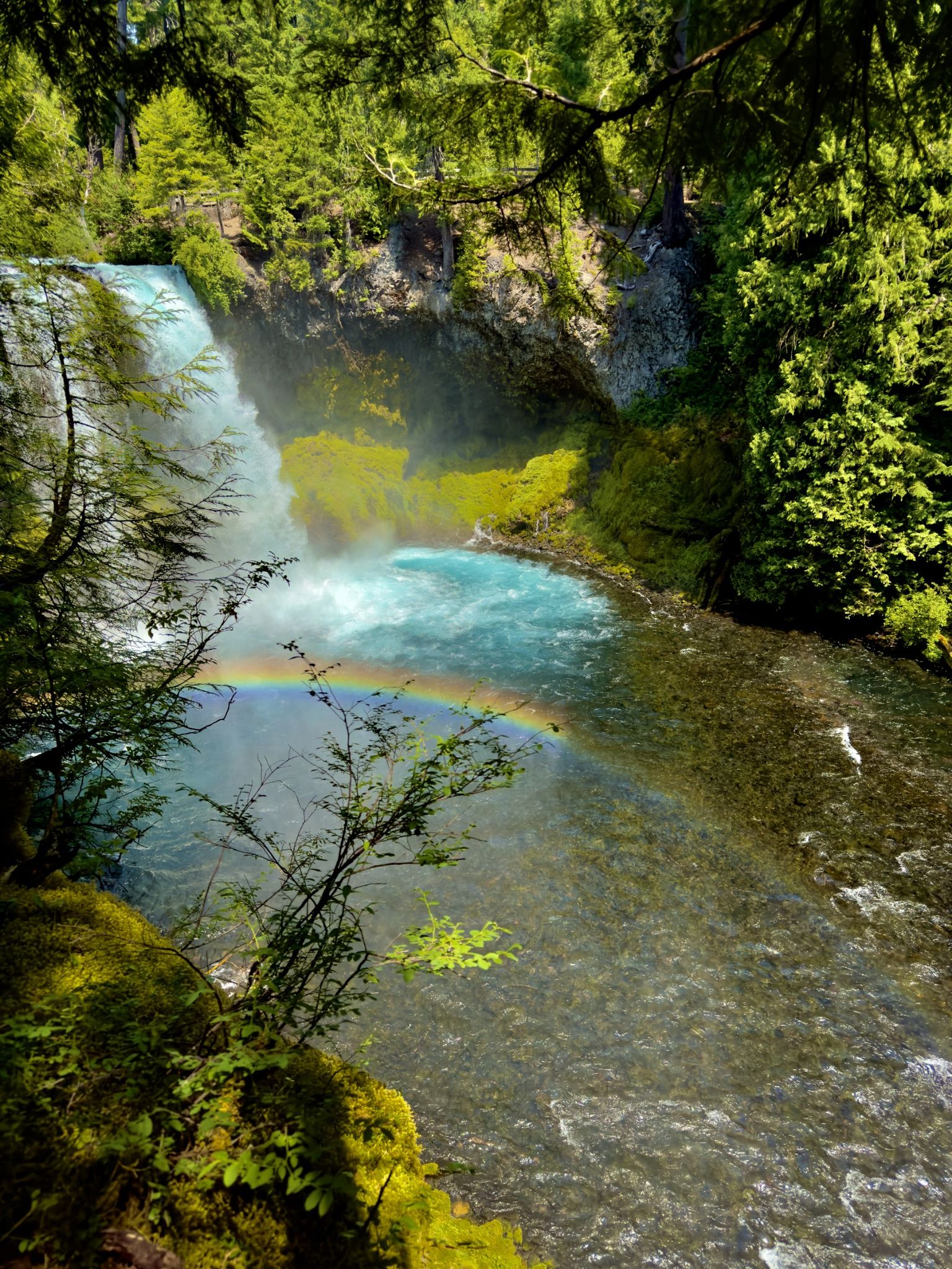 A vibrant rainbow arches over a powerful waterfall and clear blue river. - McKenzie River National Recreation Trail