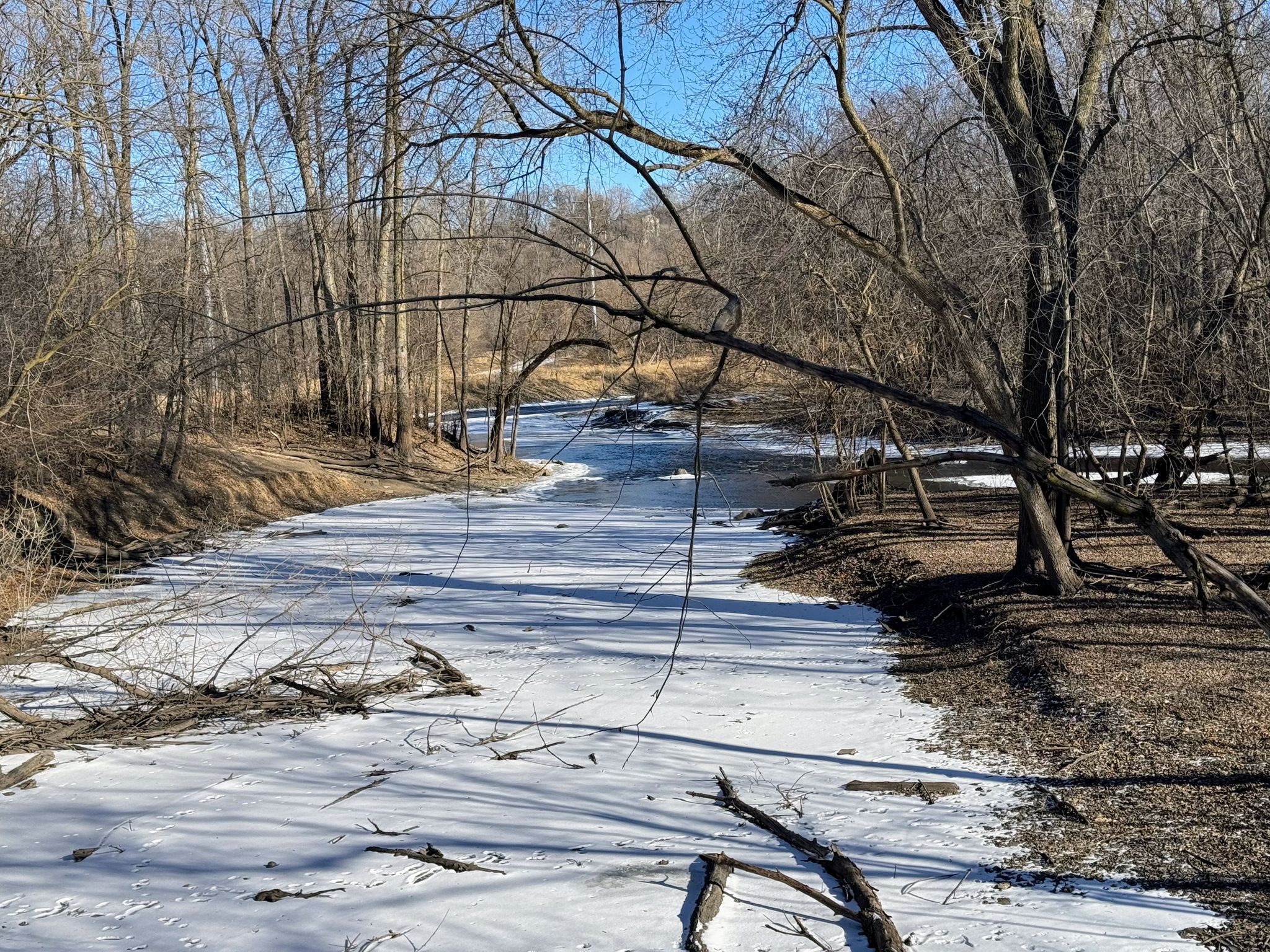 The Cannon River on it's way to join the Straight River