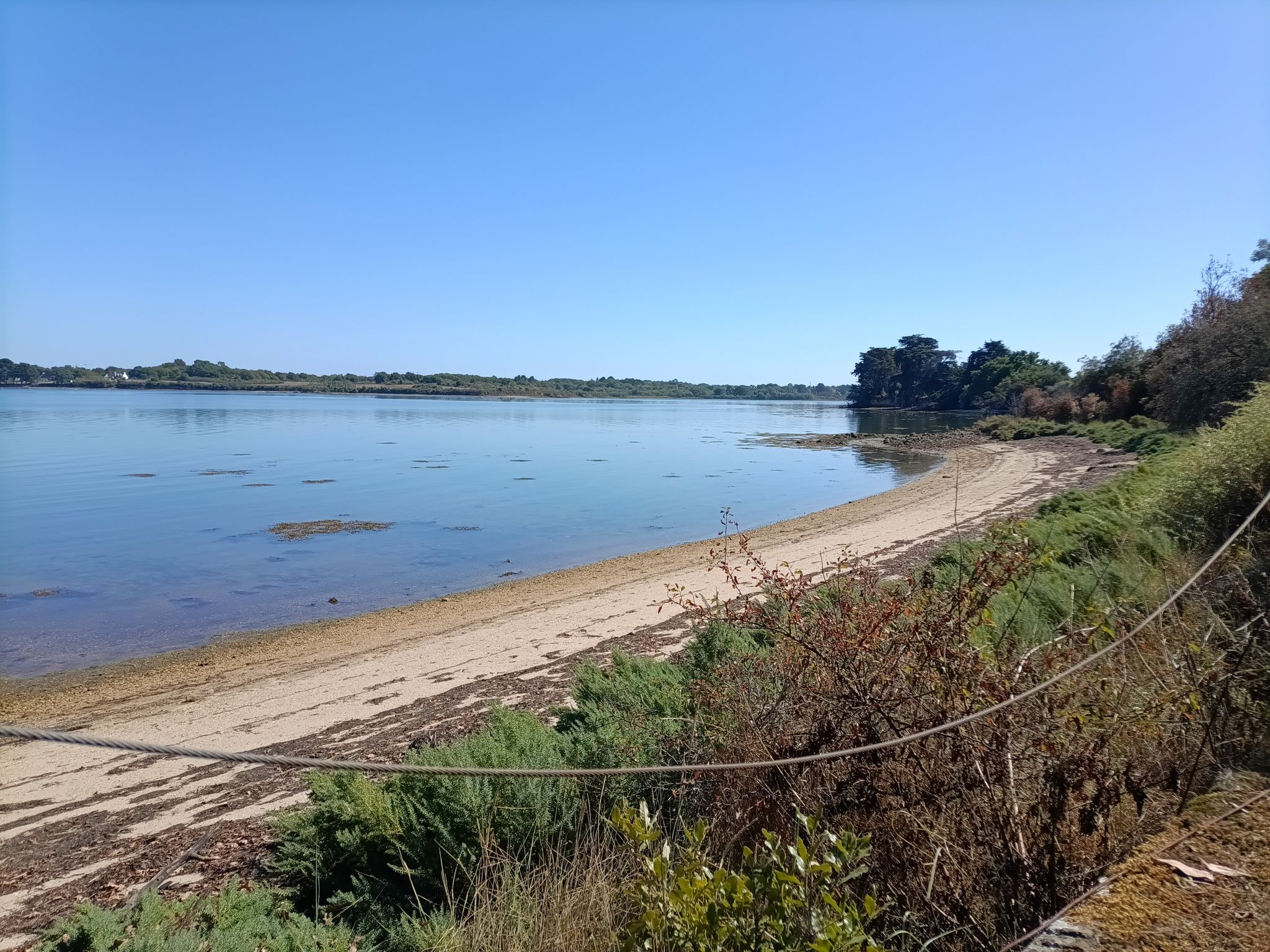 le Grenne