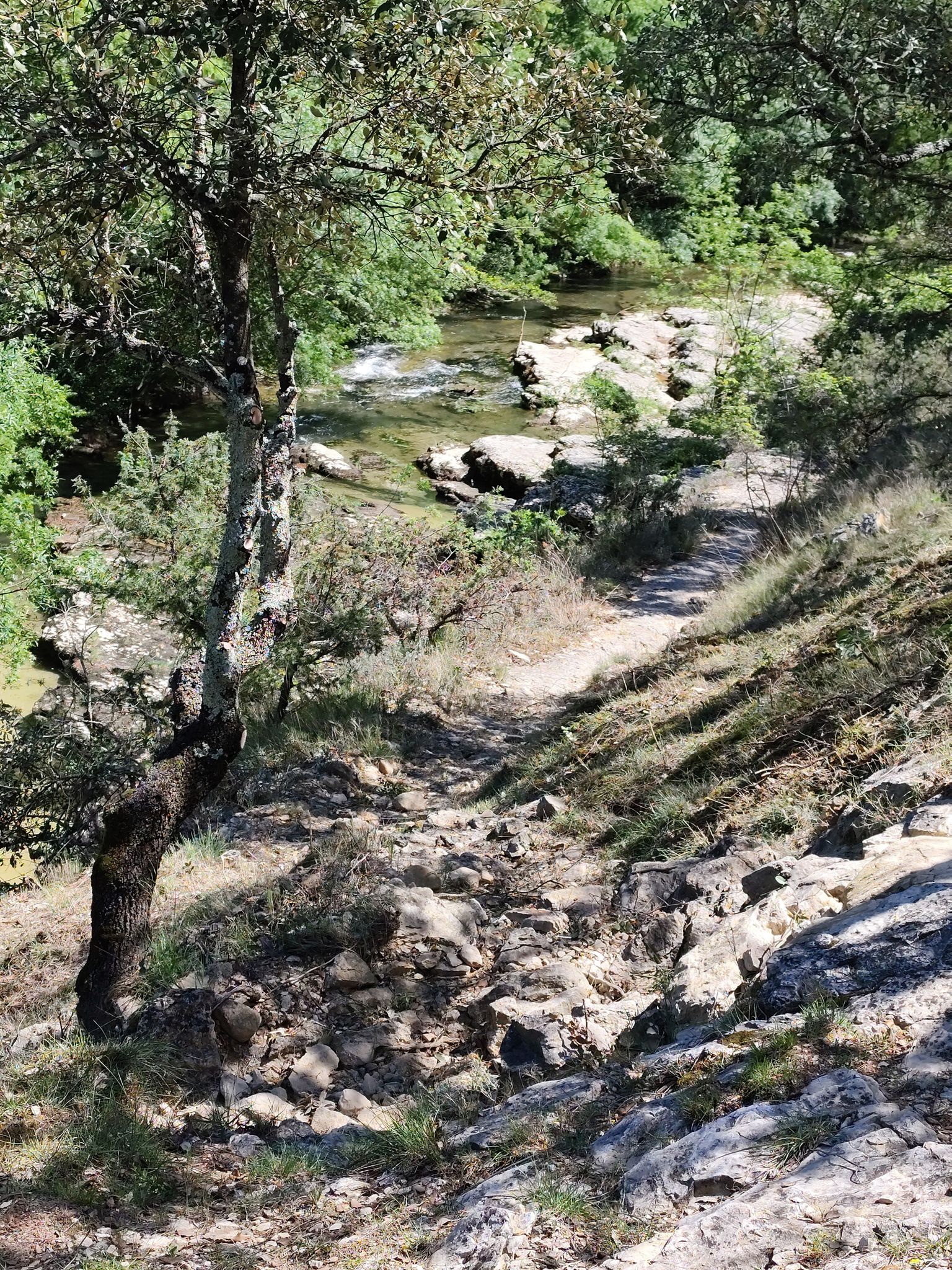 Vidourle 