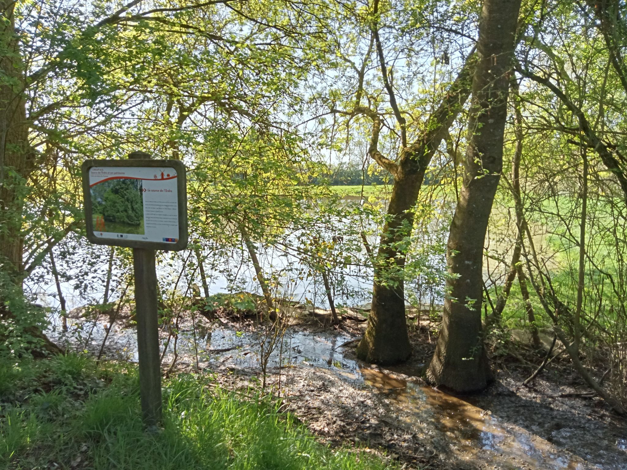 Erdre