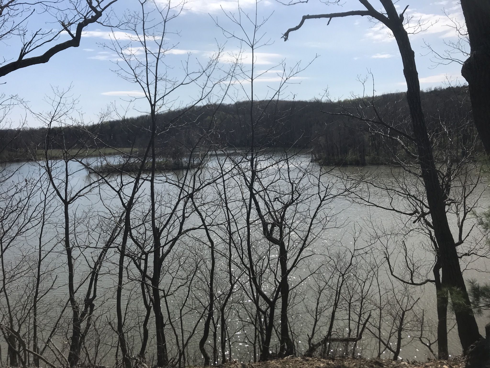 Bare trees frame a sunny lake with distant forested hills under a bright sky. - Lake Border Trail Loop