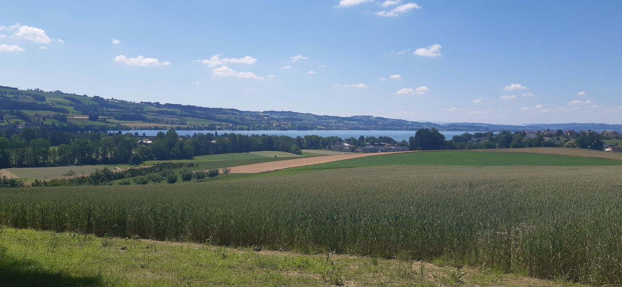 Sempachersee
