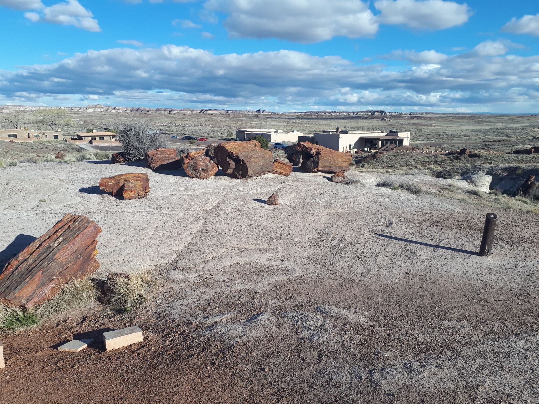 Petrified wood logs on a barren landscape with distant buildings under a cloudy sky. - Giant Logs Trail