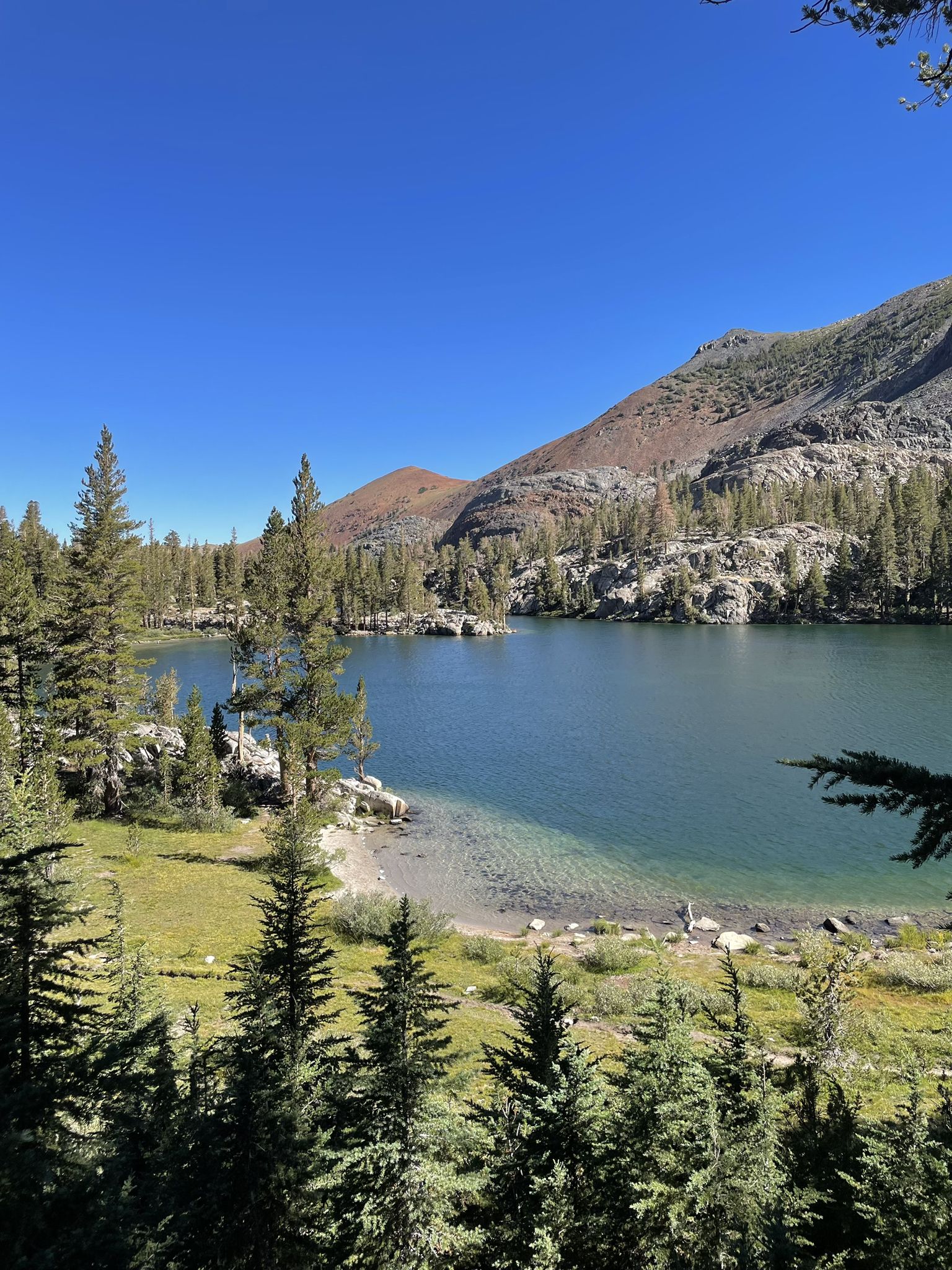 A clear blue lake surrounded by pine trees and mountains under bright sky. - Duck Pass Trail