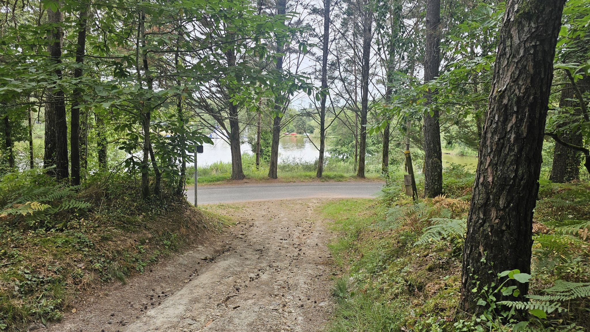 Uit de bossen aankomen bij het meer.