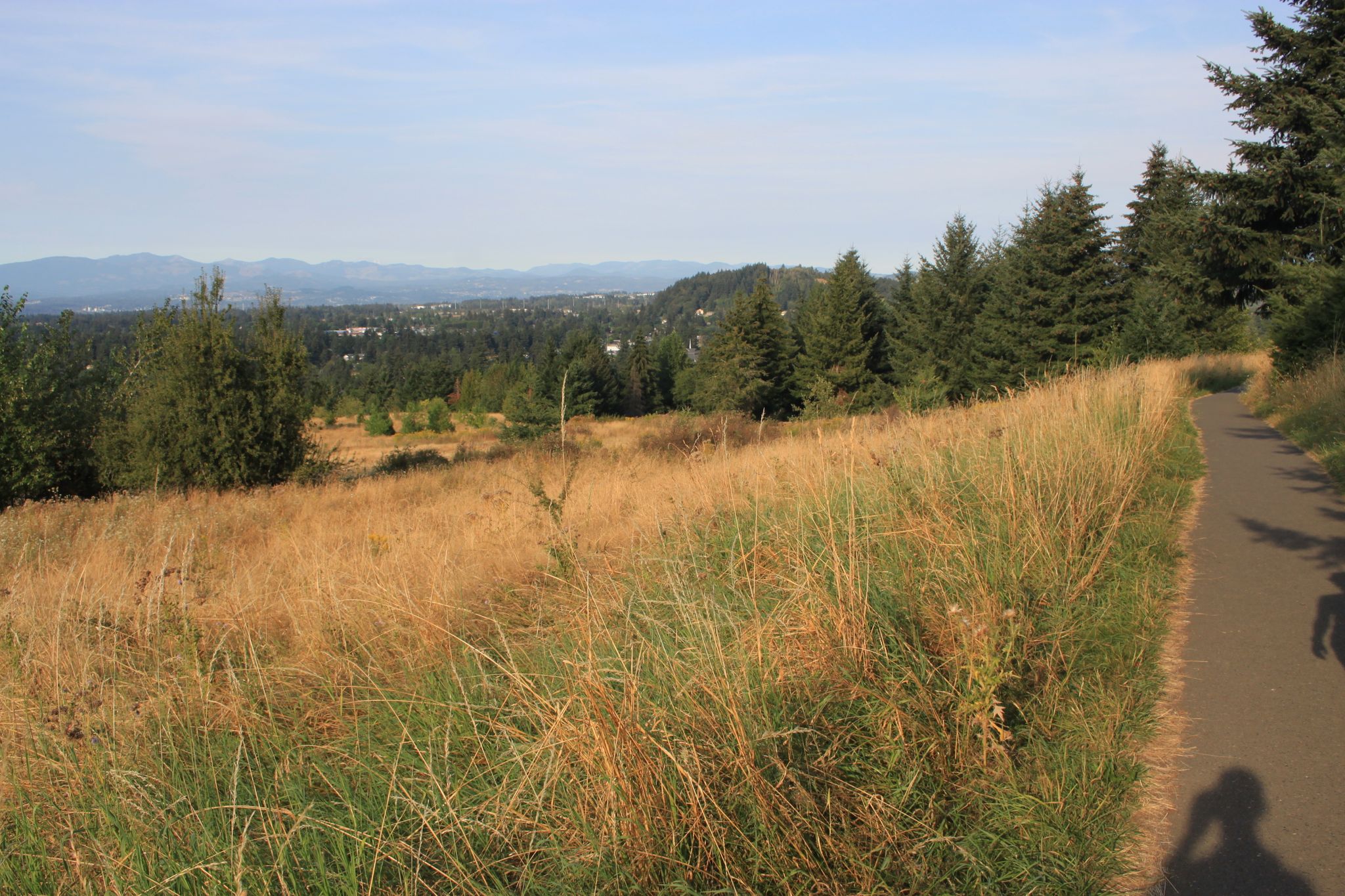 Paved path next to golden grass, leading to distant city and mountains. - Summit Loop – Powell Butte Nature Park