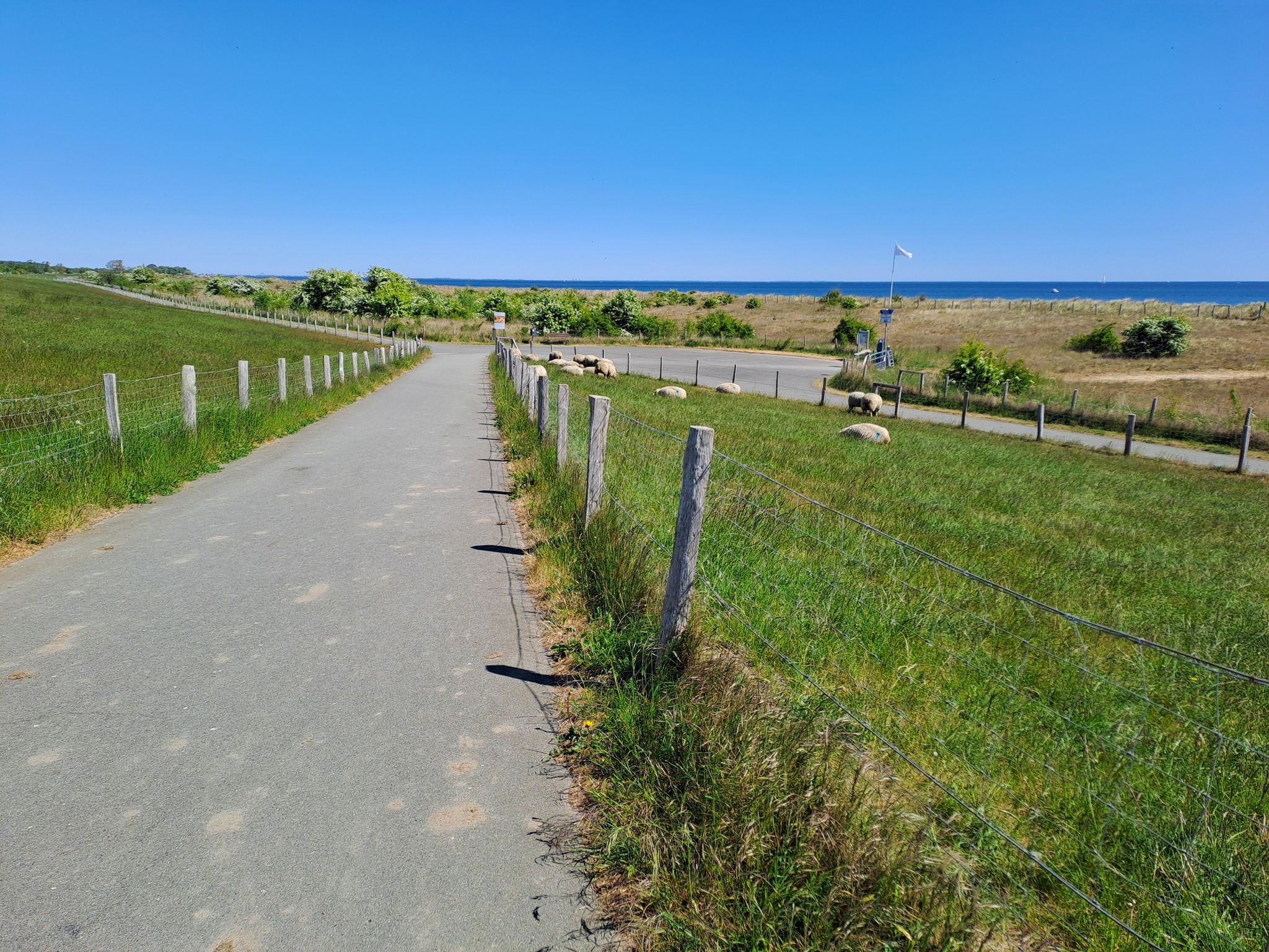 Rosenfelde -> Dahme (Fahrradweg am Rosenfelder Brök)