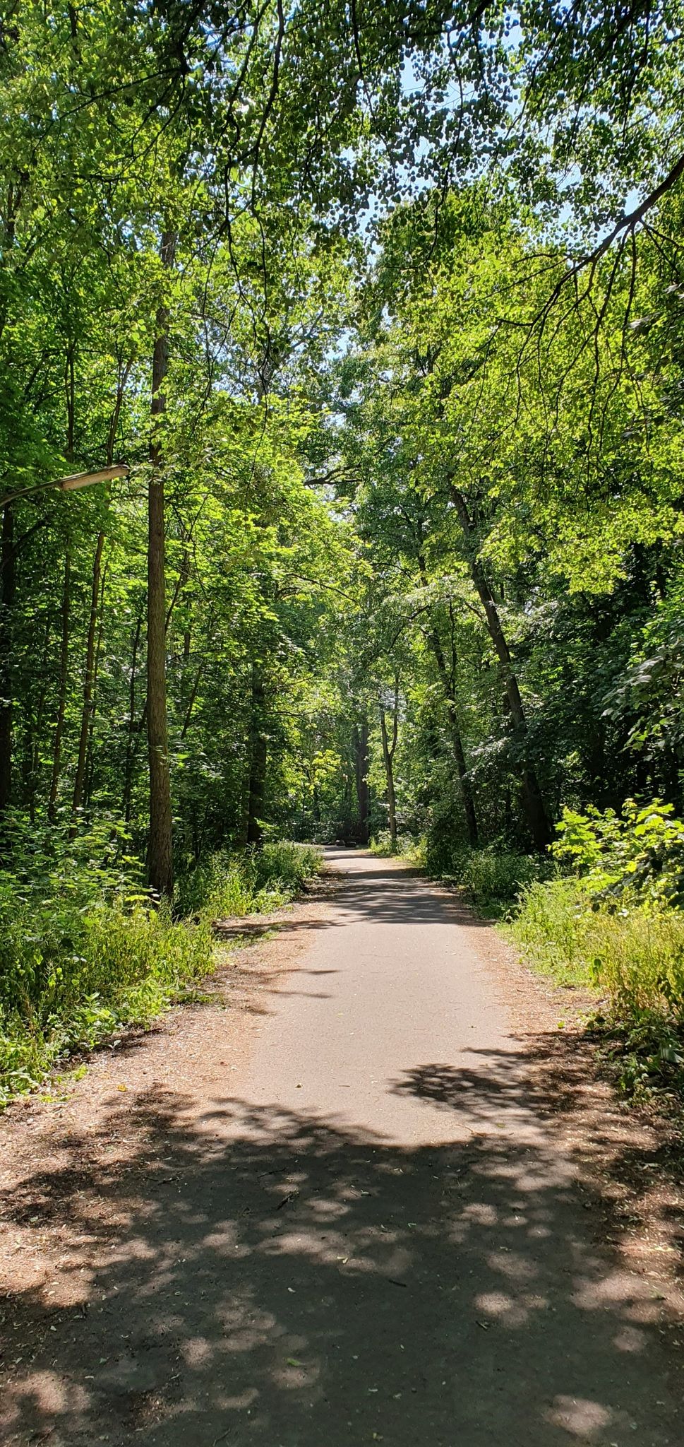 Auf dem Schanzenberg