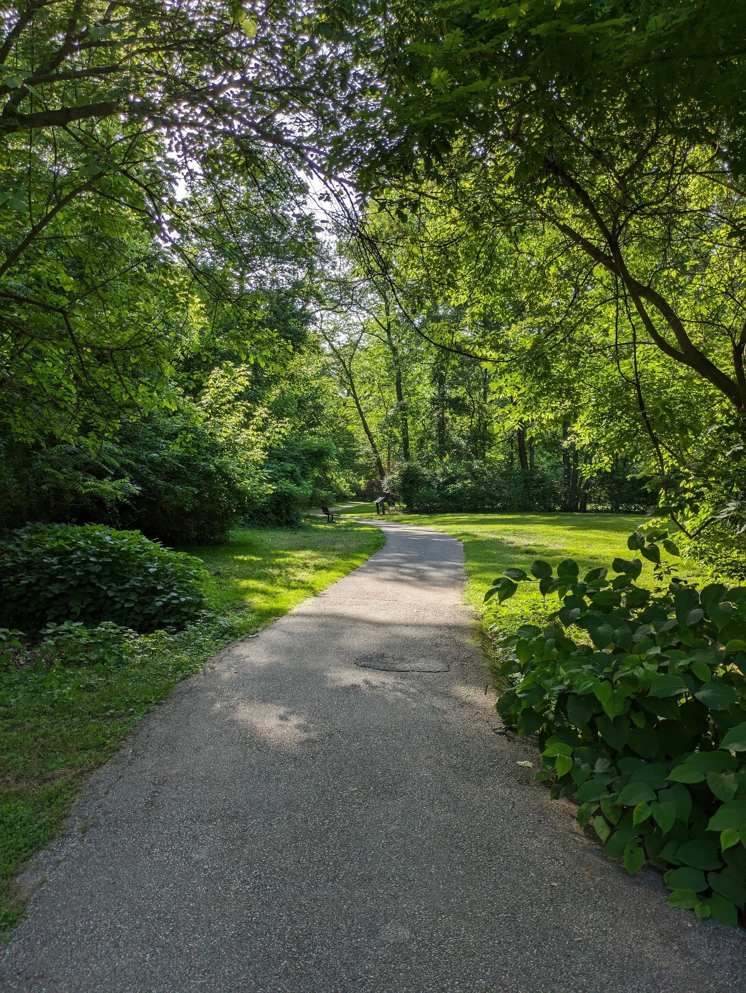 A sunlit paved path surrounded by vibrant green trees and bushes. - Laurel Patuxent River Trail