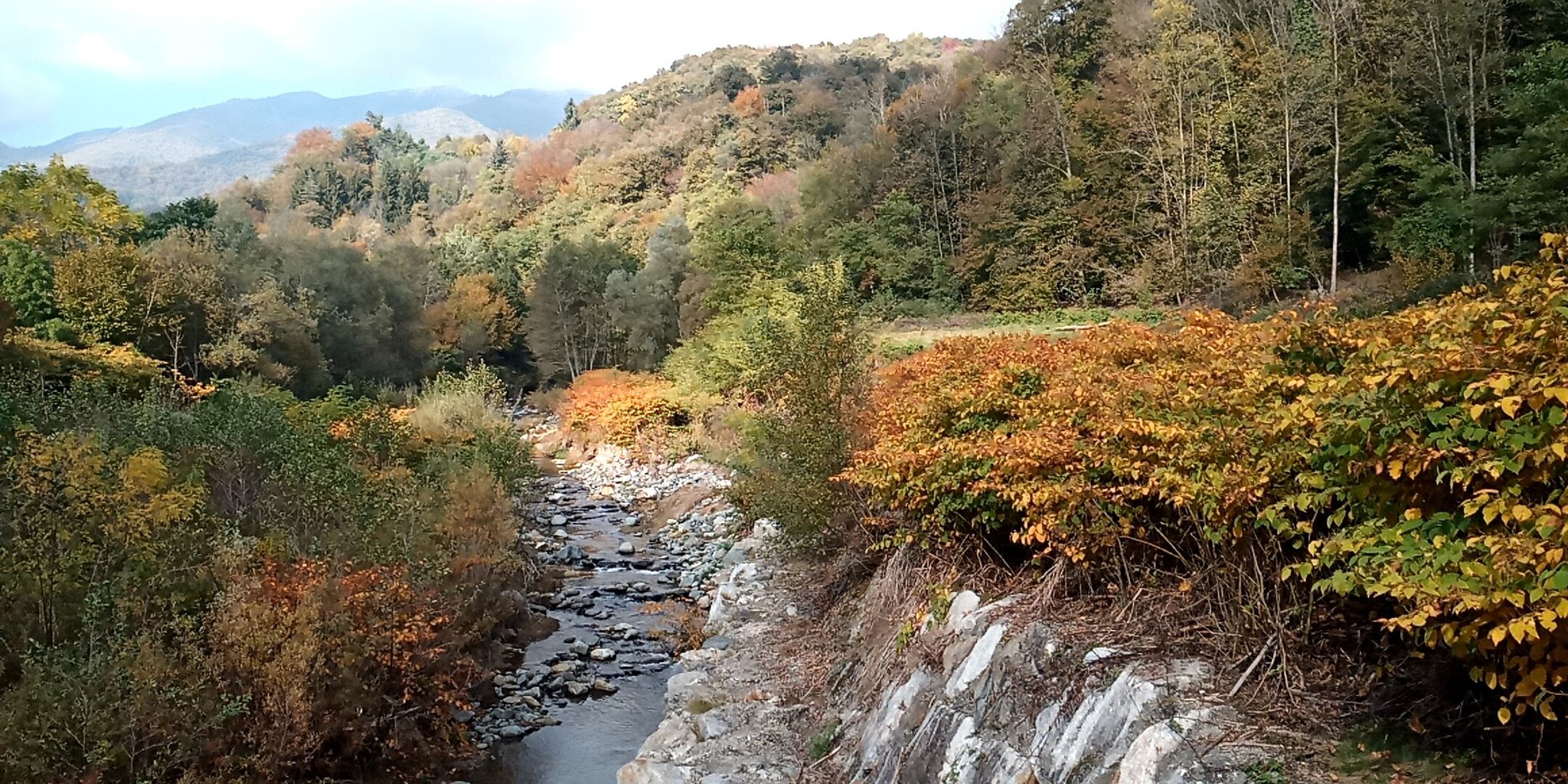Colori autunnali