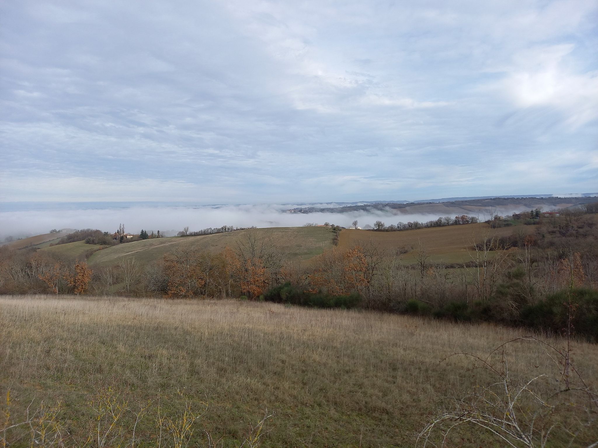 lavaur dans le brouillard