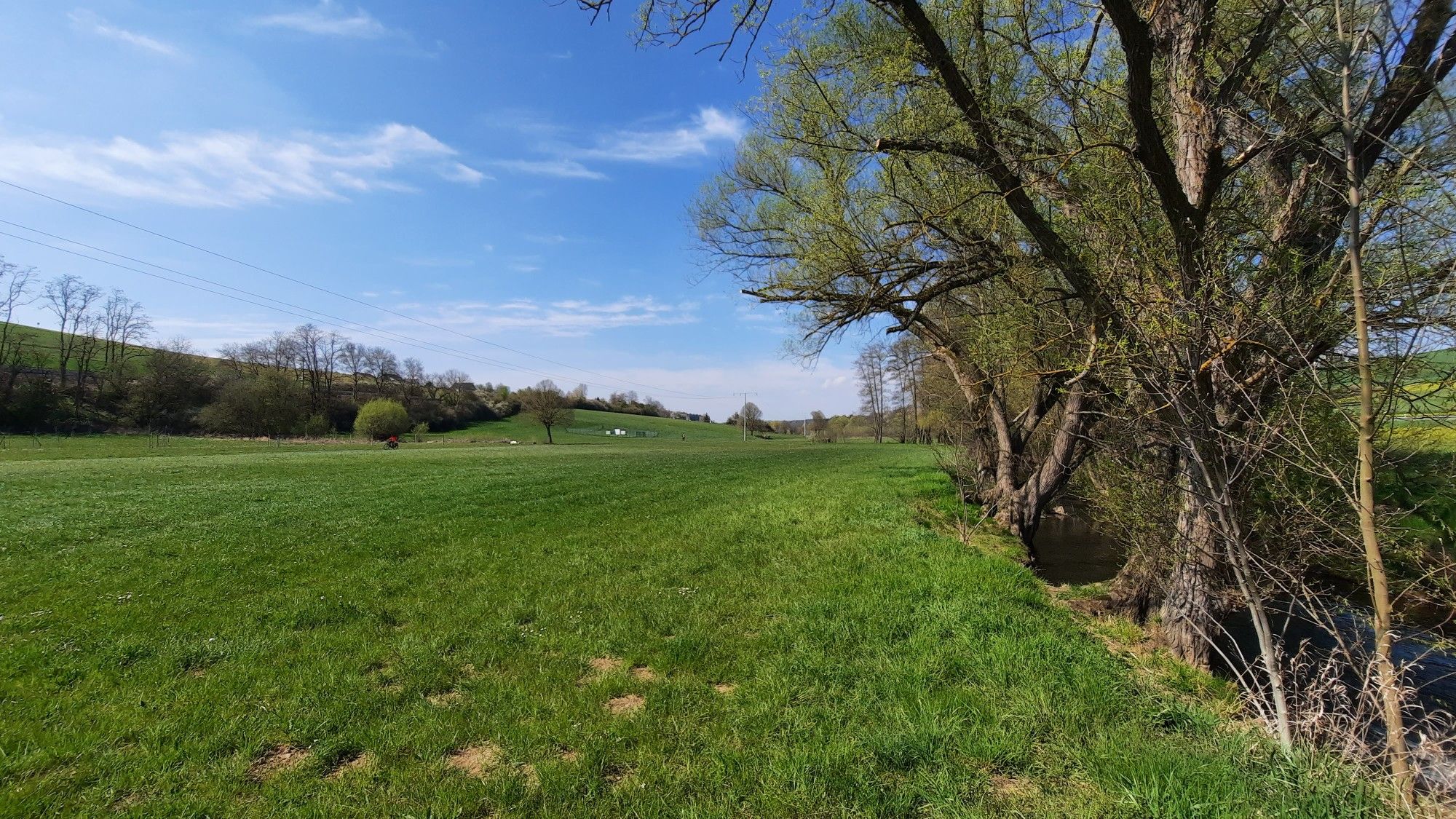 Auwiese am Emsbach