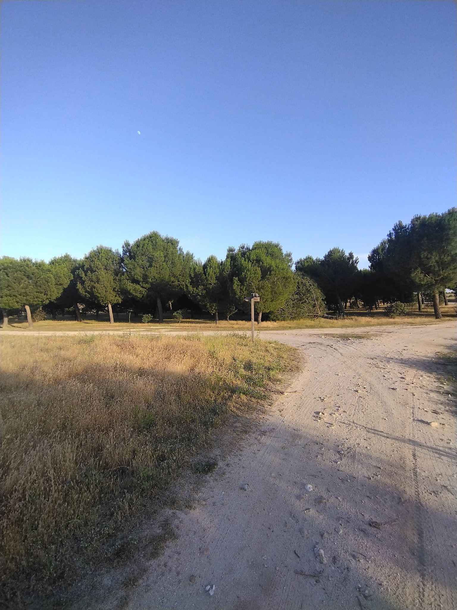 área recreativa 