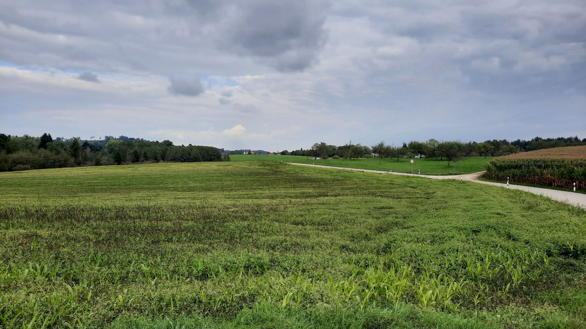 Auf dem Klosterweg bei Wattenham