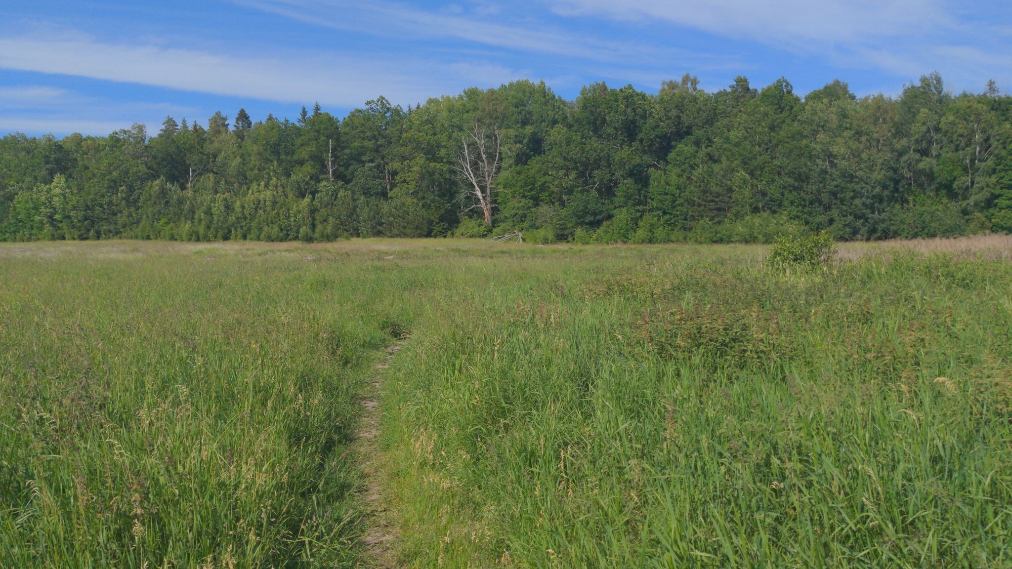 grasslands