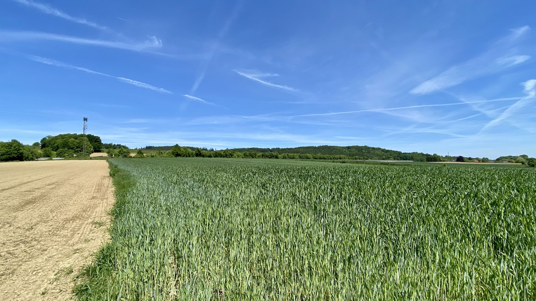 A1 unterhalb Burgstaller Kogel