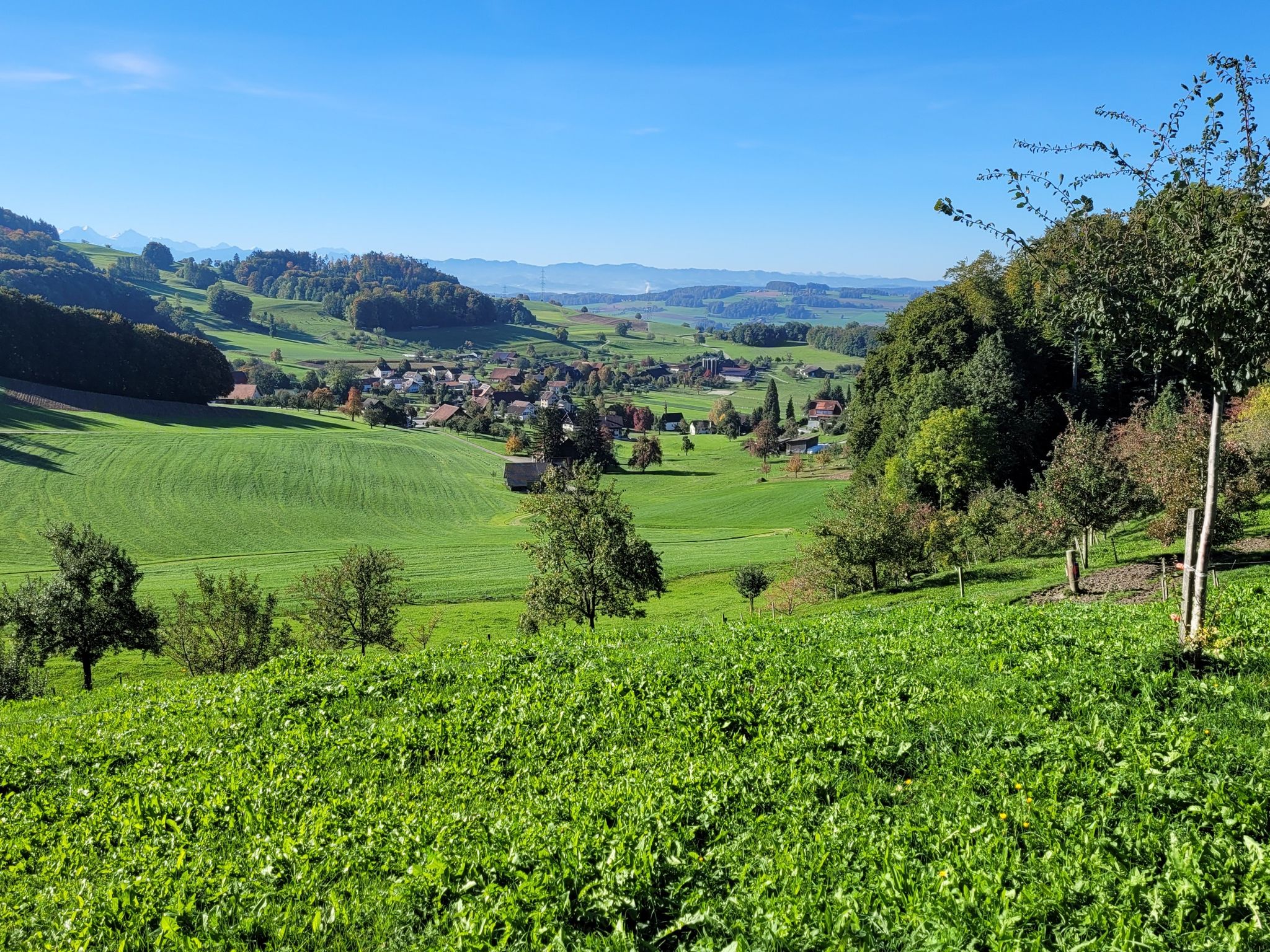 Blick hinab ins Tal der Suhre