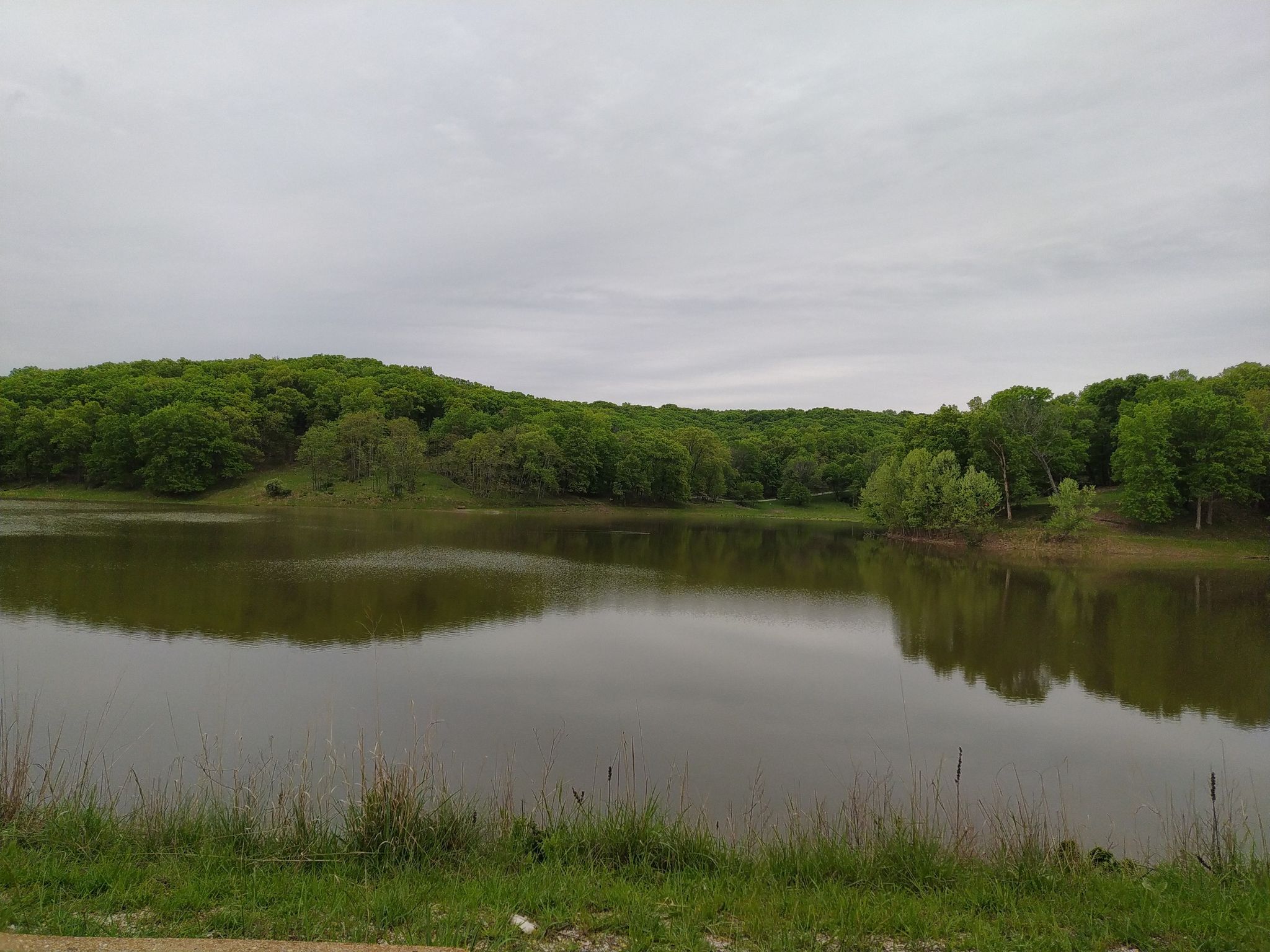 Calm lake reflecting green forest under an overcast sky. - Chubb Trail