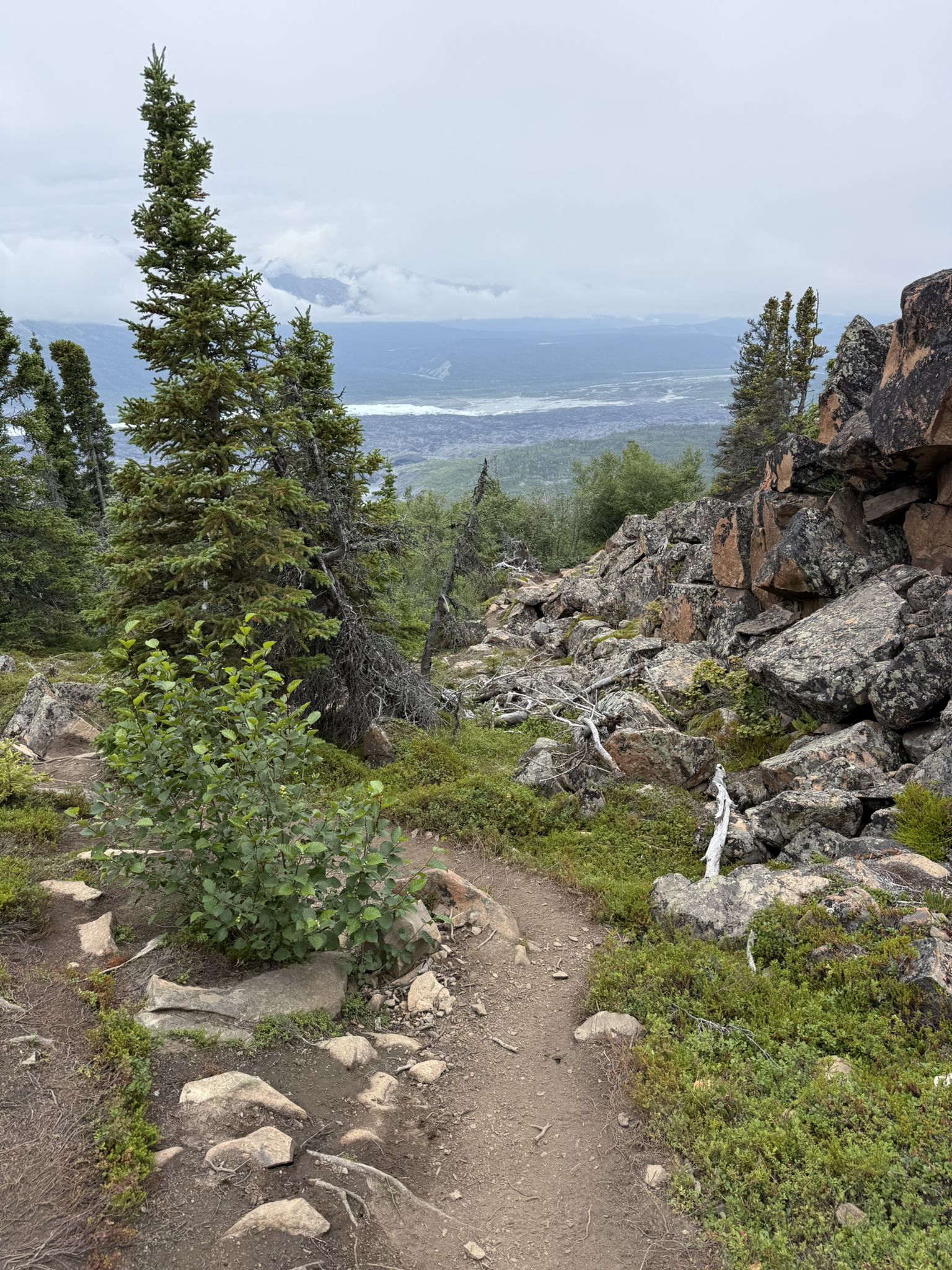 A narrow dirt trail winds through rocky, green terrain with distant valley. - Lion's Head Trail