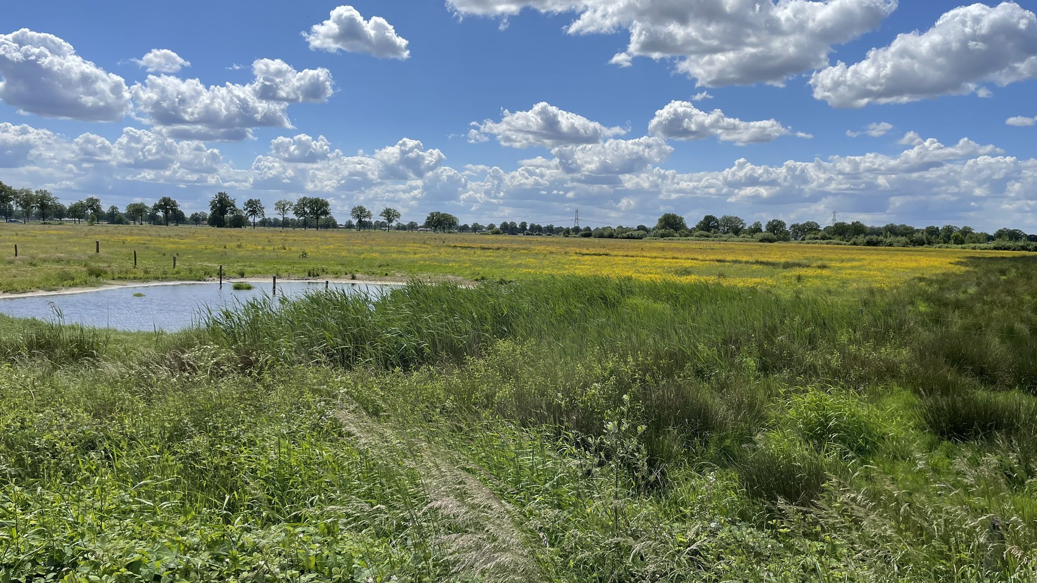 Am Rand De Groote Peel