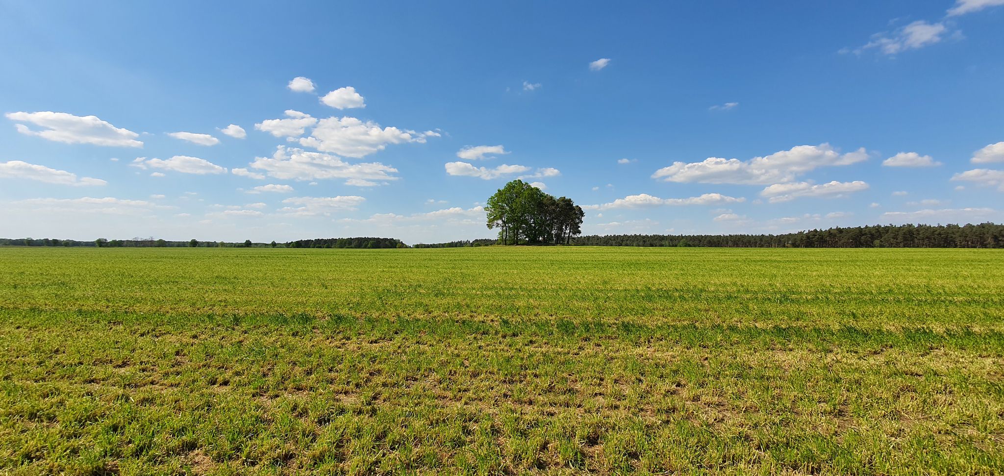 Großsteingrab Nettgau