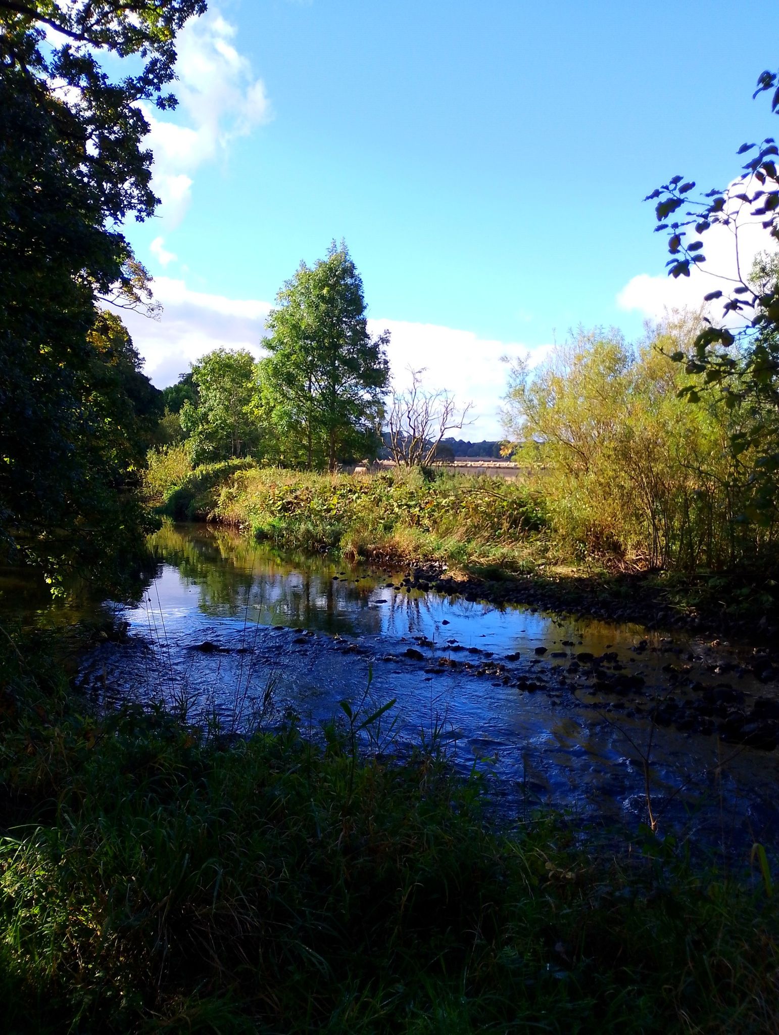 Avon river heritage trail and countryside views