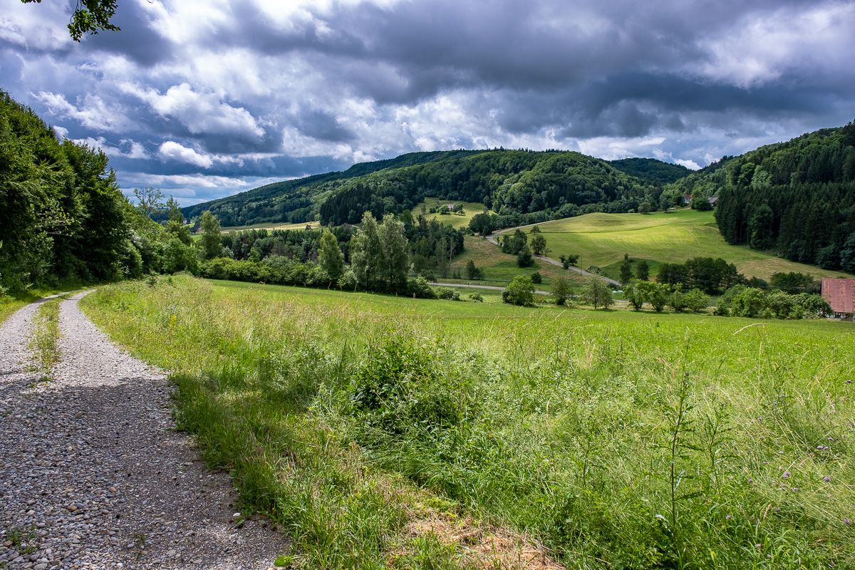 Einmal quer durch das Tal der Deggenhauser Ach geht es weiter