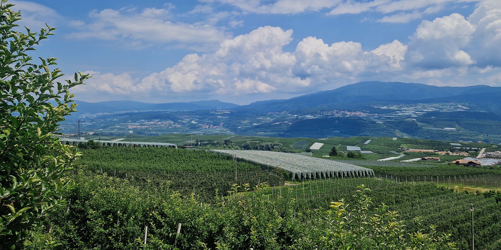 Vista da Tuenno