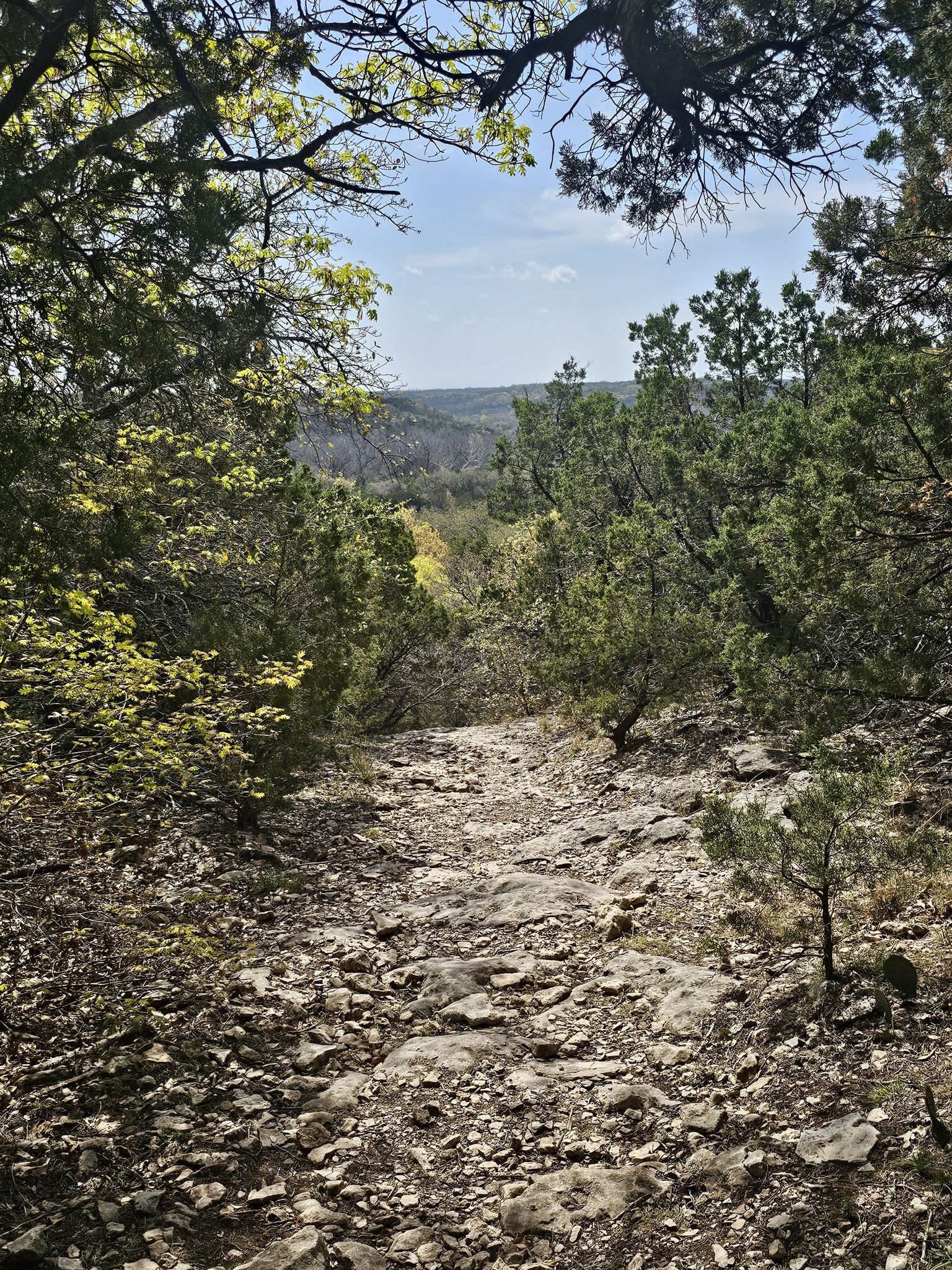 A rocky path descends through a sunny forest, overlooking a distant valley. - Limestone Ridge Inner Loop Trail