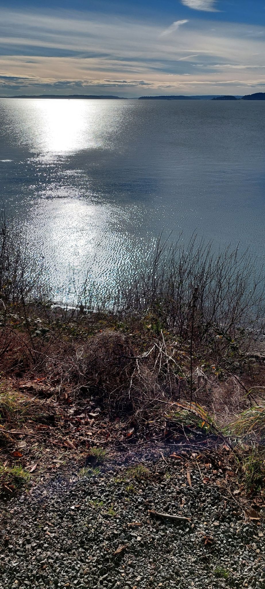 Bright sun reflection on a large body of water from a grassy bank. - Discovery Park Loop Trail
