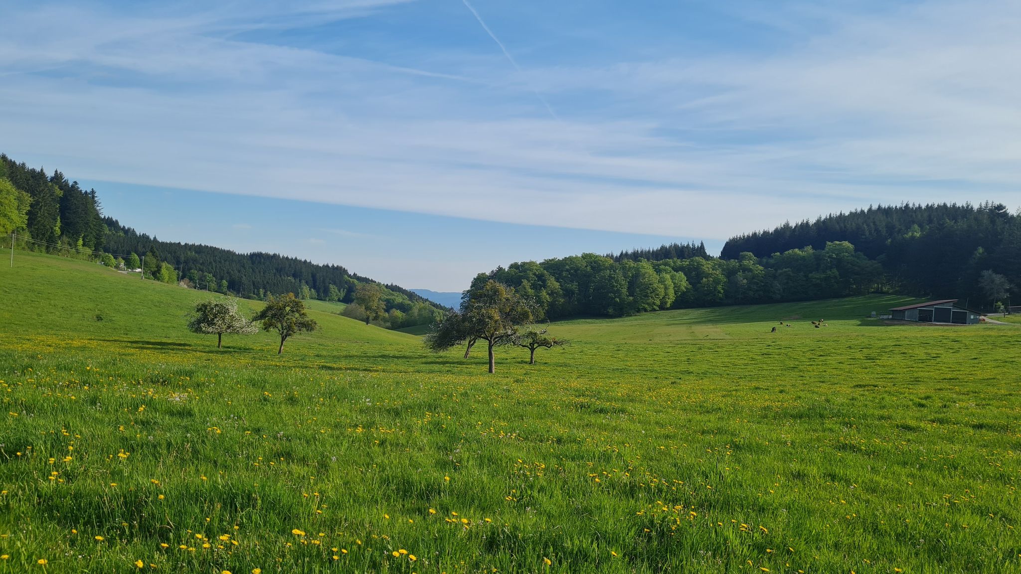 Ausblick von Höhenhäuser