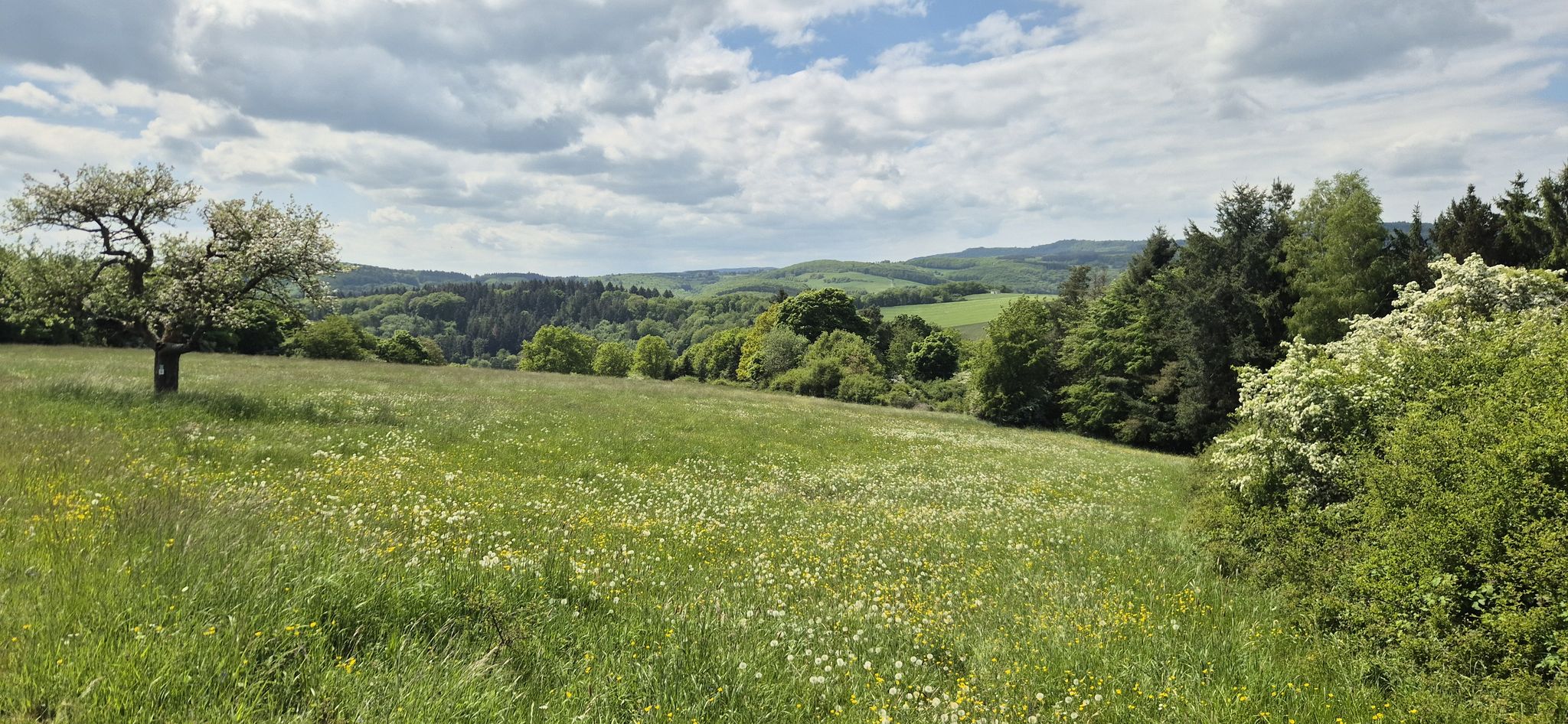 Leider jetzt Abstieg nach Herrstein