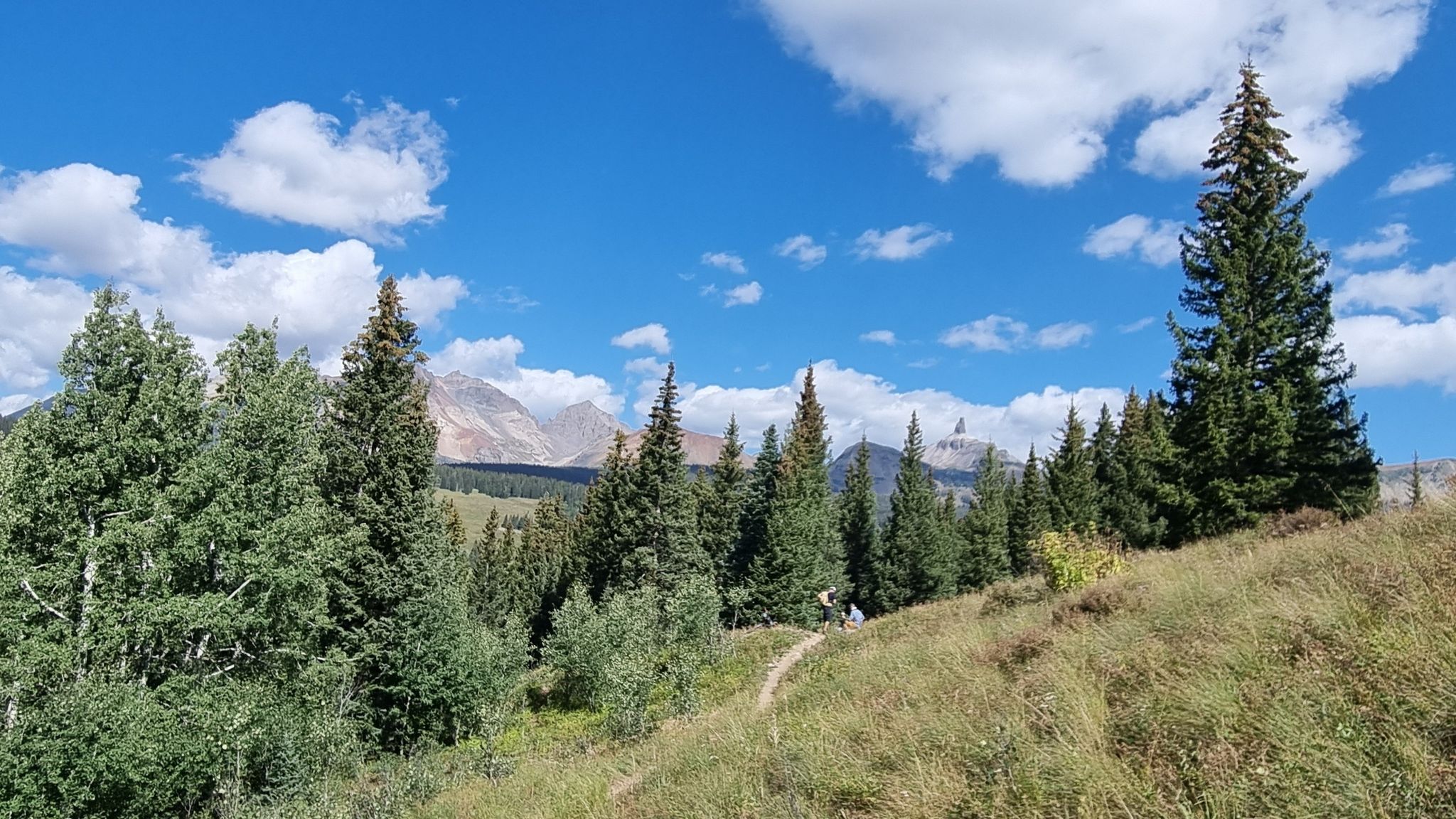 Sunny mountain trail winding through pine trees with distant peaks and a hiker. - East Fork Trail to Twin Creek