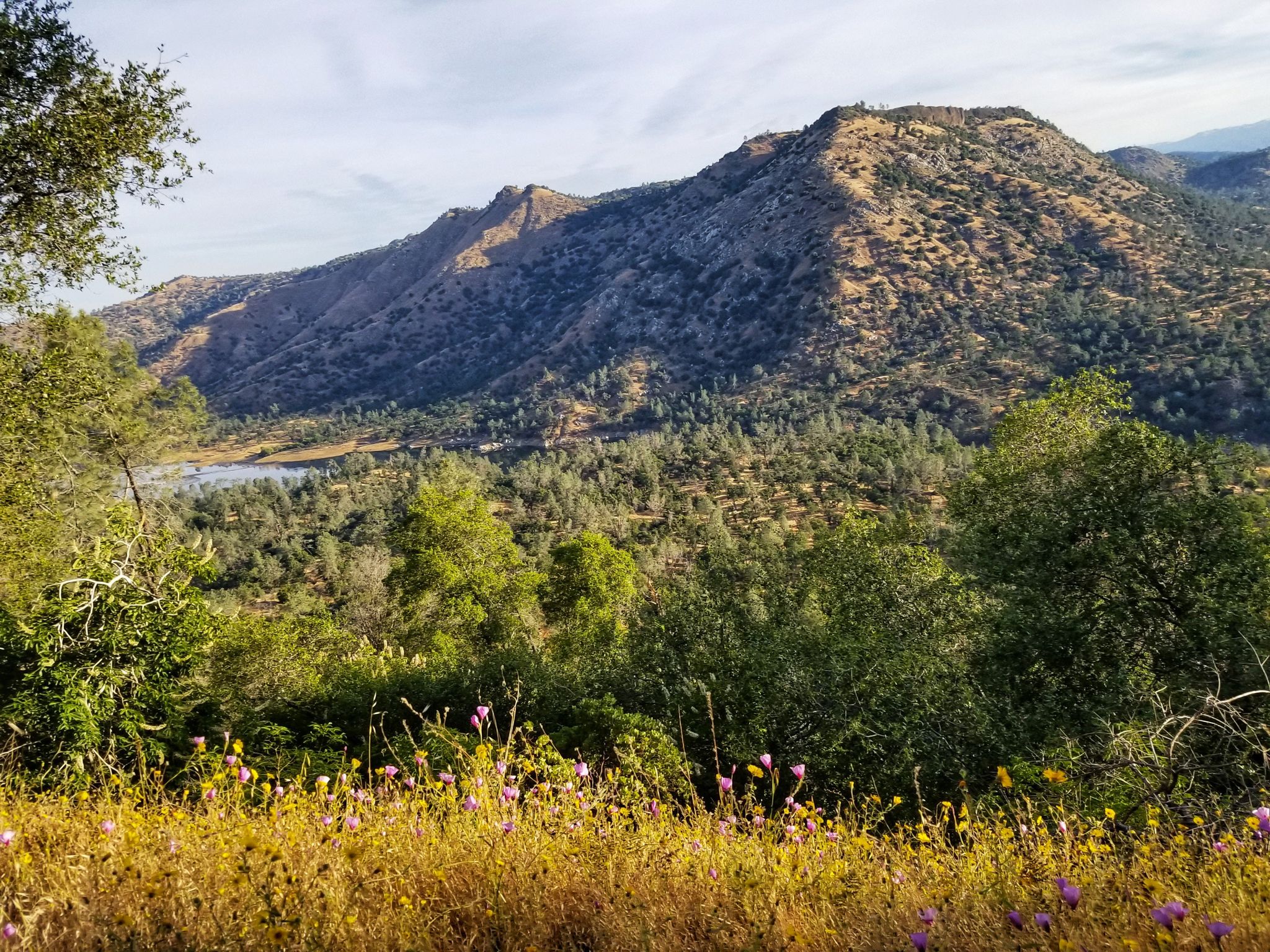 Sunny view of a large mountain, lake, and colorful wildflowers. - Wellbarn to SJRT